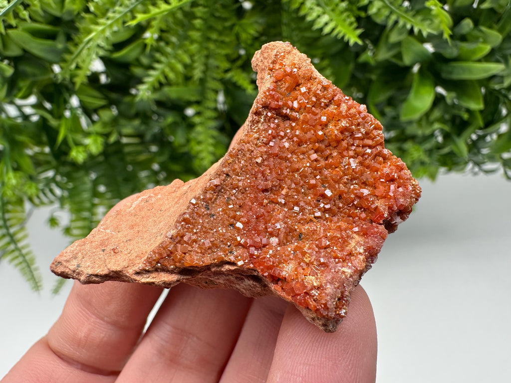 Red Vanadinite on Matrix from Marocco,crystal minerals Speciment cluster Vanadinite crystal Vanadinite Geology Vanadinite cluster minerals