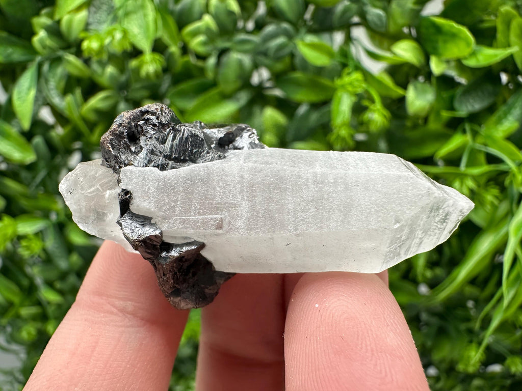 Wonderful Sphalerite Chalcopyrite on  Quartz whit Galena feom 9 th September mine,Bulgaria,natural,collection mineral specimen,gift