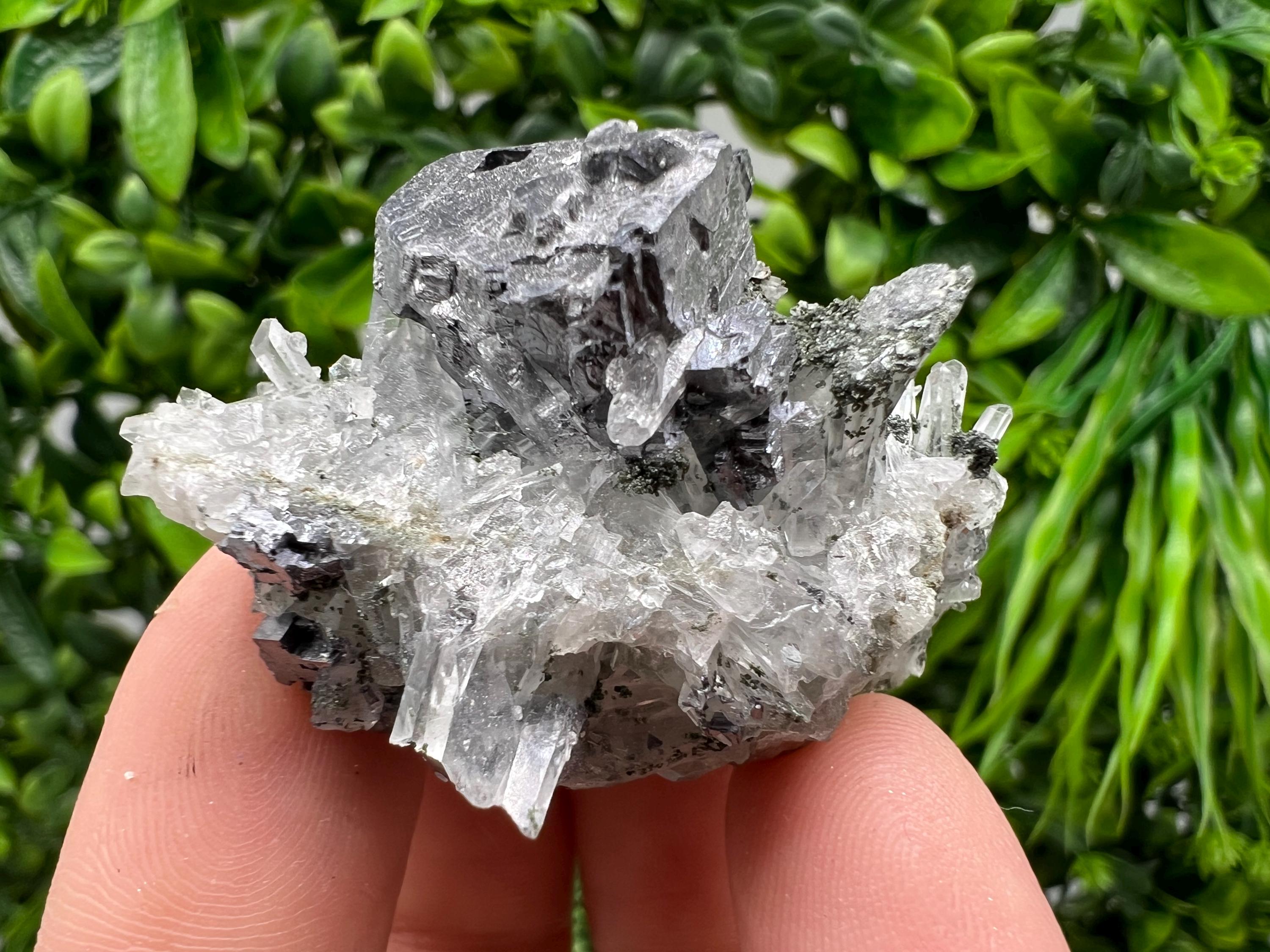 Galena Pyrite Quartz Specimen, Borieva Mine, Bulgaria