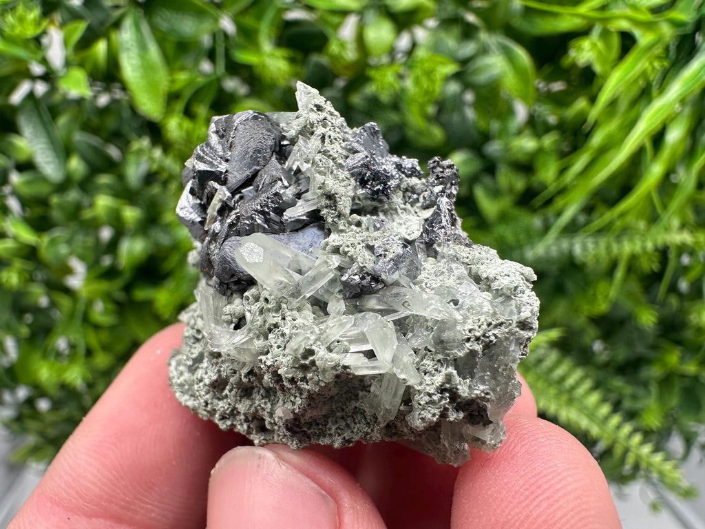 Sphalerite with Chlorite Mineral Specimen - Borieva Mine, Bulgaria