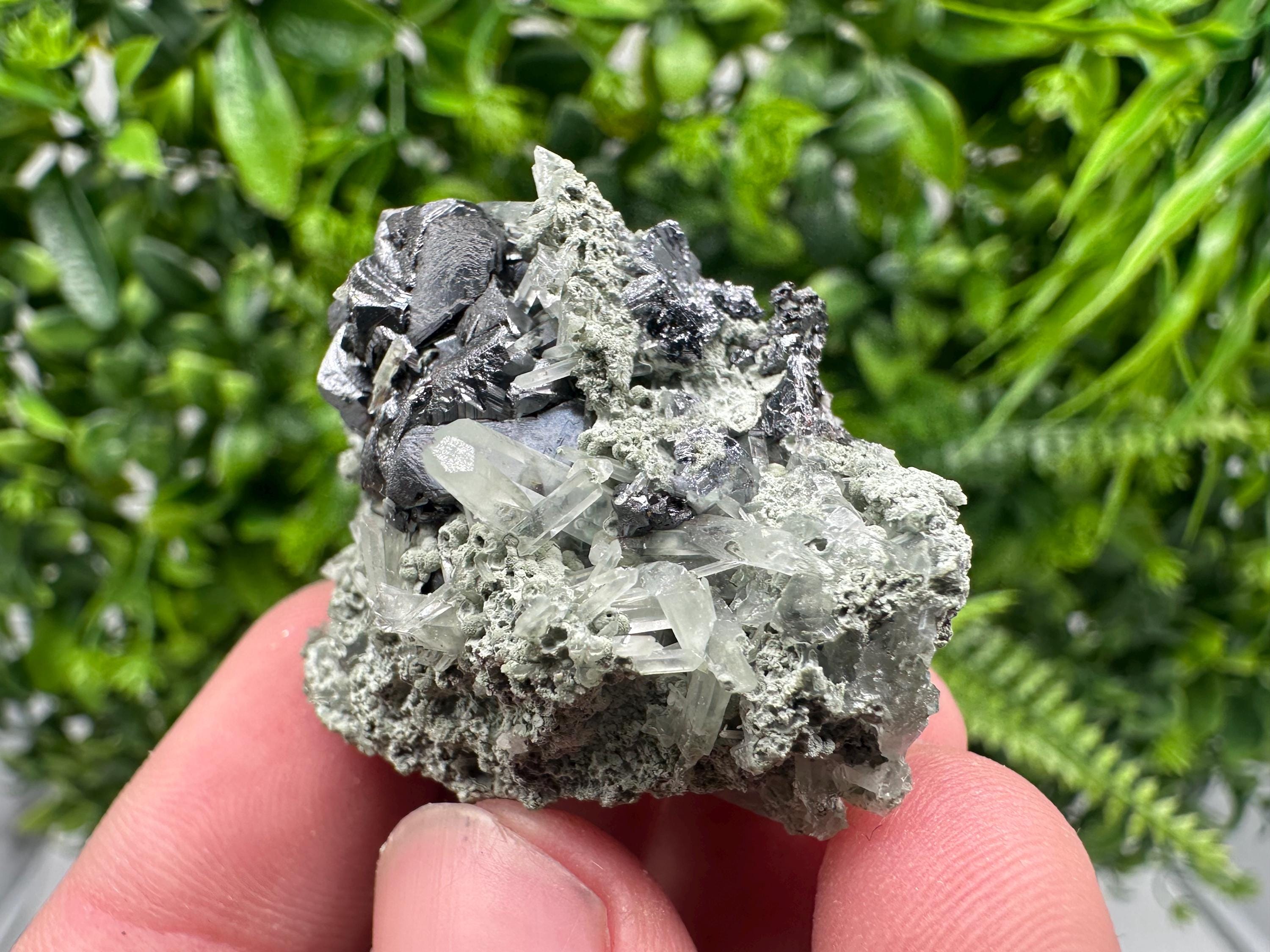 Sphalerite with Chlorite Mineral Specimen - Borieva Mine, Bulgaria