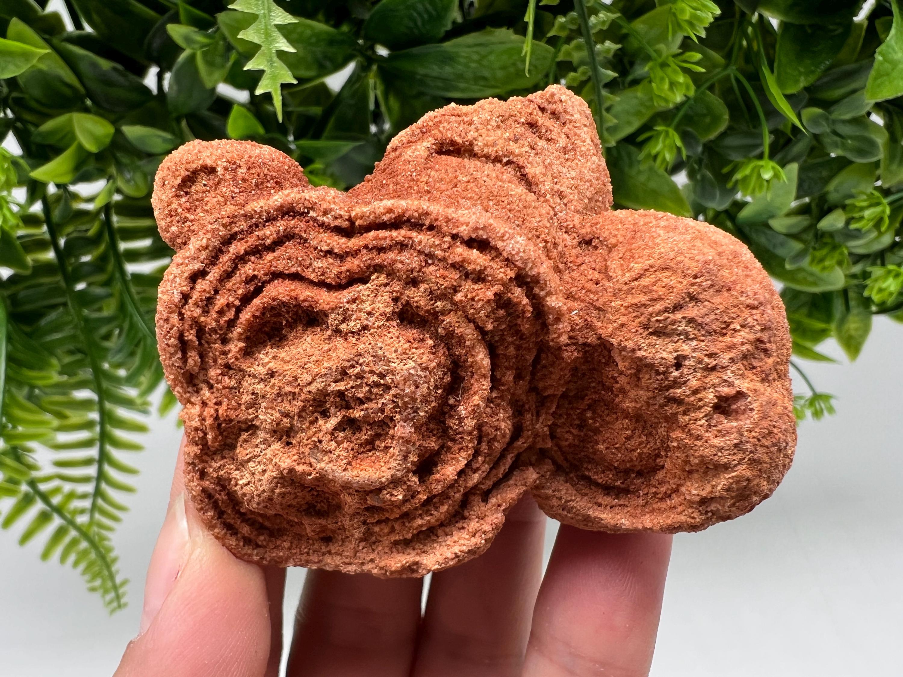 Raw Moroccan Stromatolite Fossil Specimen, Algae Stone for Meditation
