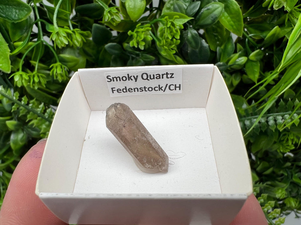 Rare Fedenstock Smoky Quartz Point, Swiss Mineral Specimen (25 MM)