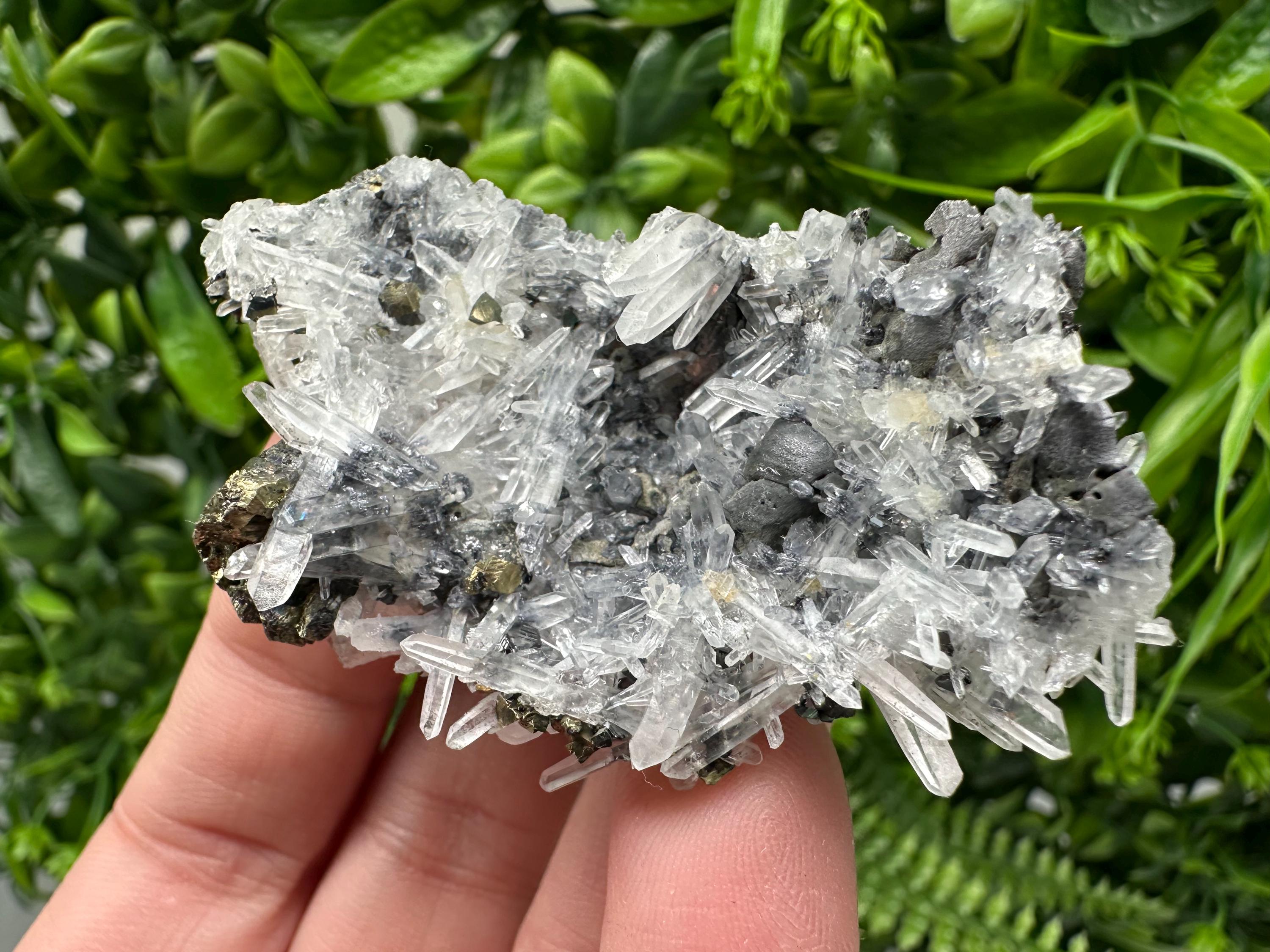 Wonderful Sphalerite Chalcopyrite on  Quartz whit Galena feom 9 th September mine,Bulgaria,natural,collection mineral specimen,gift