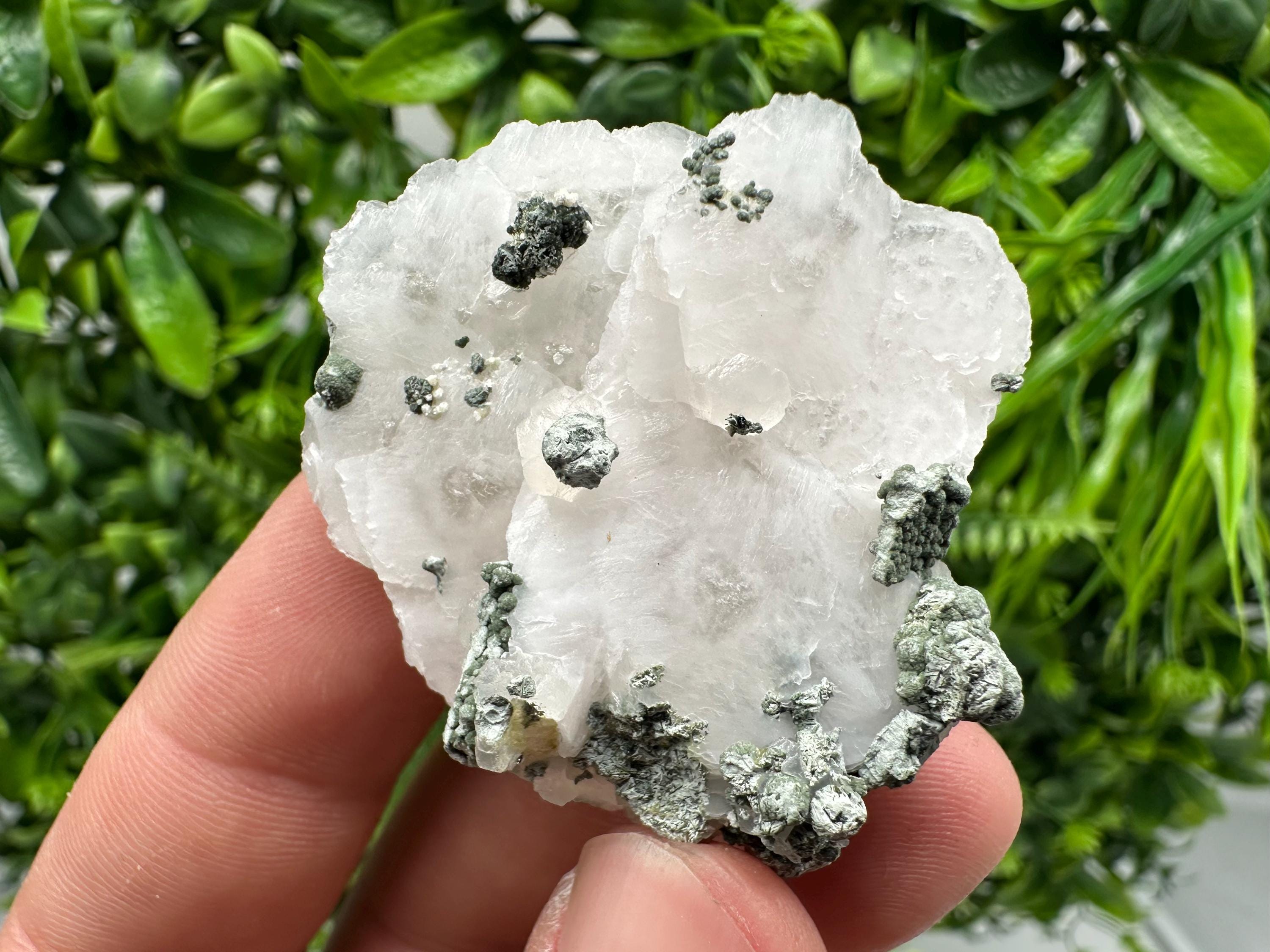UV Mangano Calcite: Borieva Mine, Bulgaria Crystal Decor