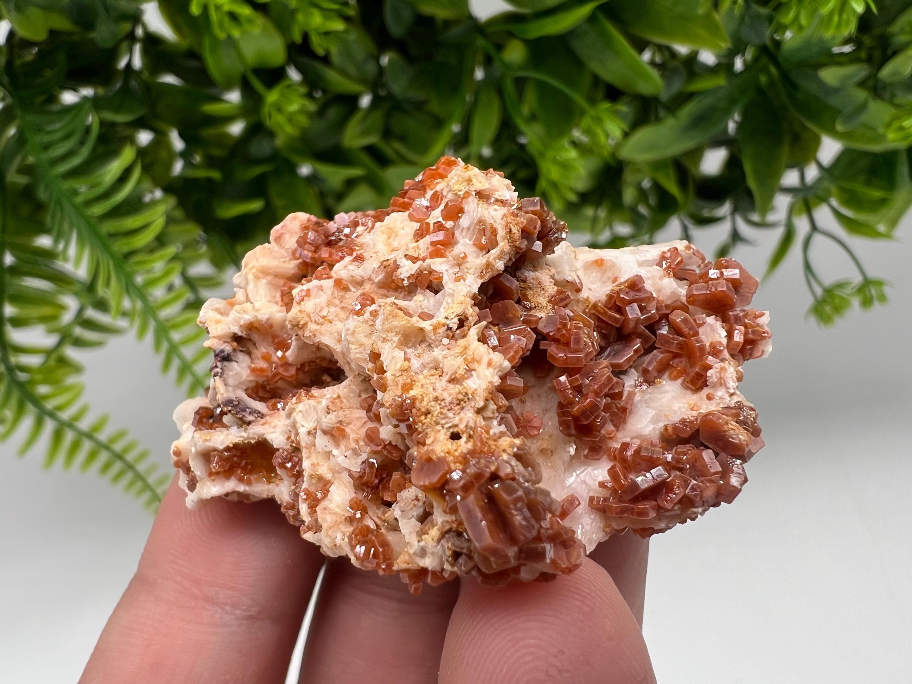 Red Vanadinite on Barite from Marocco,crystal minerals Speciment cluster Vanadinite crystal Vanadinite Geology Vanadinite cluster minerals