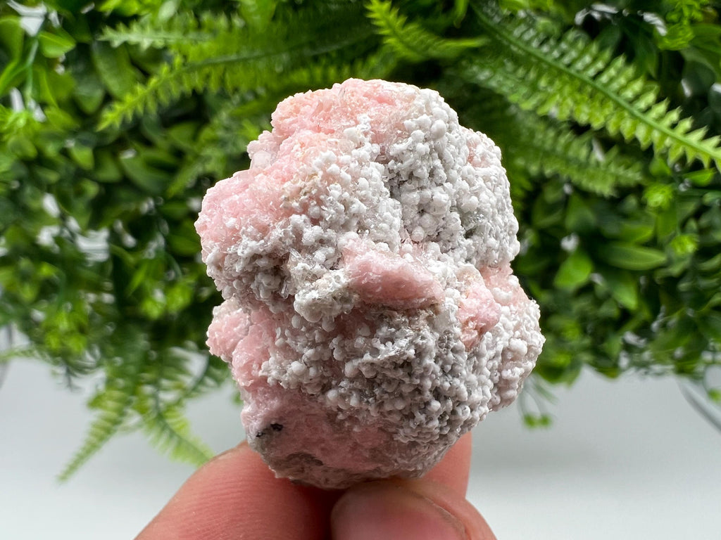 Rare Rhodochrosite with Calcite, Starnica Mine, Bulgaria