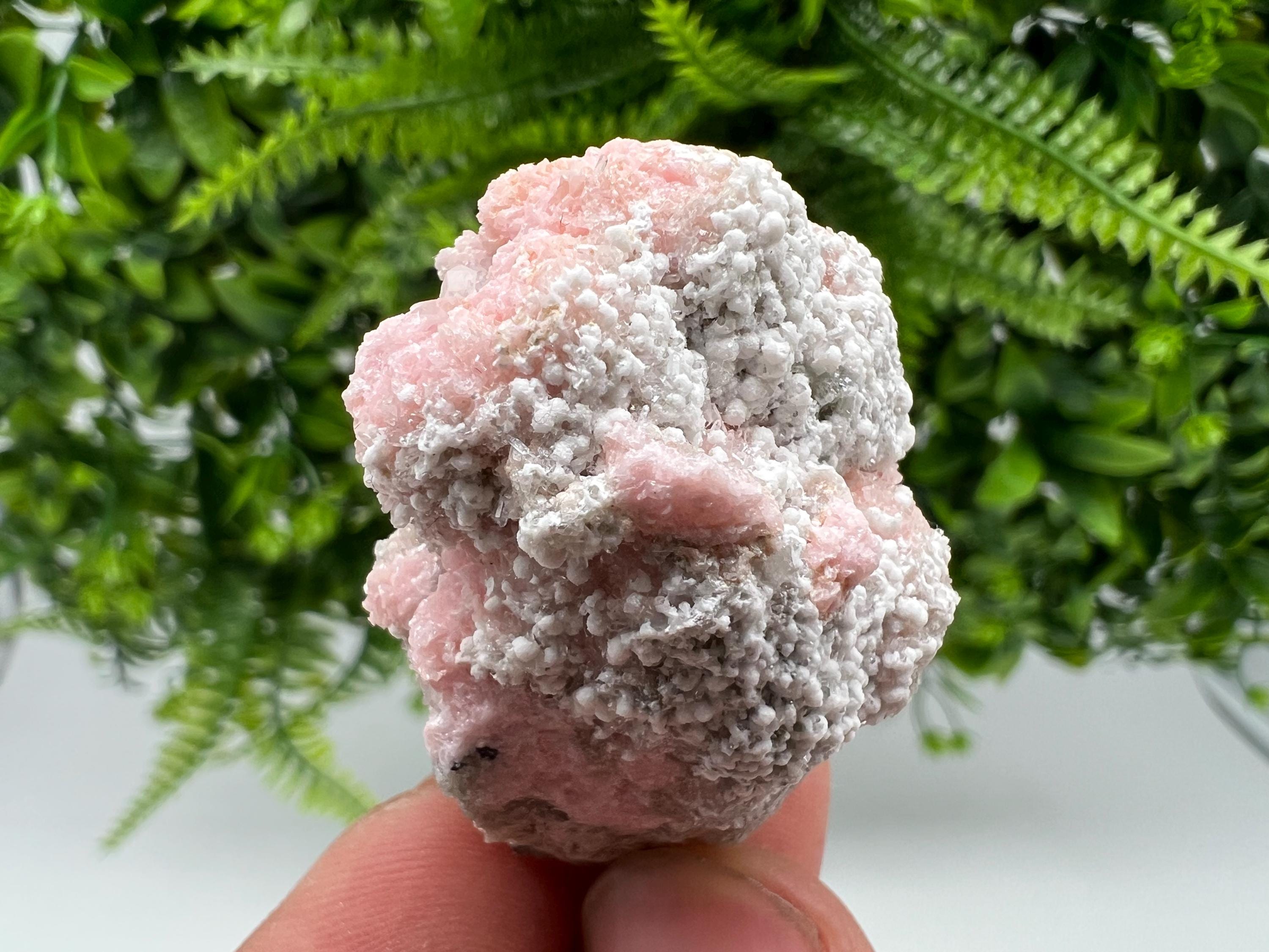Rare Rhodochrosite with Calcite, Starnica Mine, Bulgaria