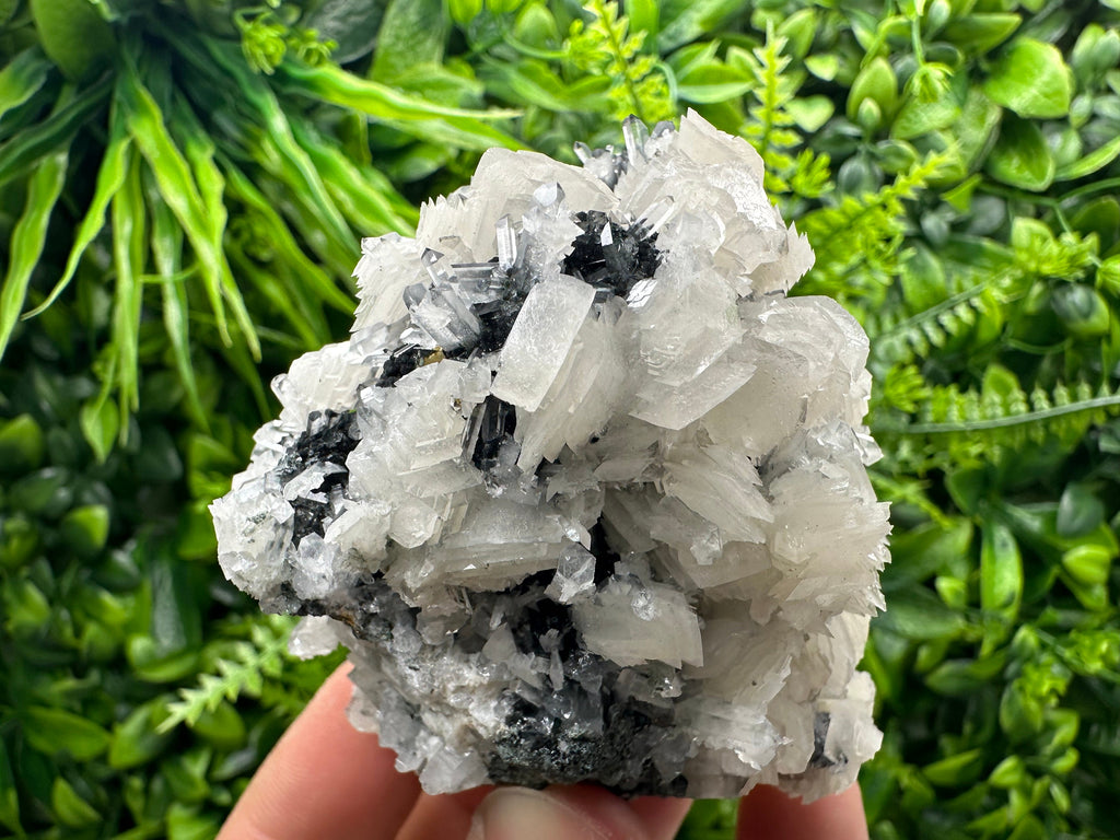 UV Fluorescence Calcite on Sphalerite, Quartz, Borieva Mine Crystal