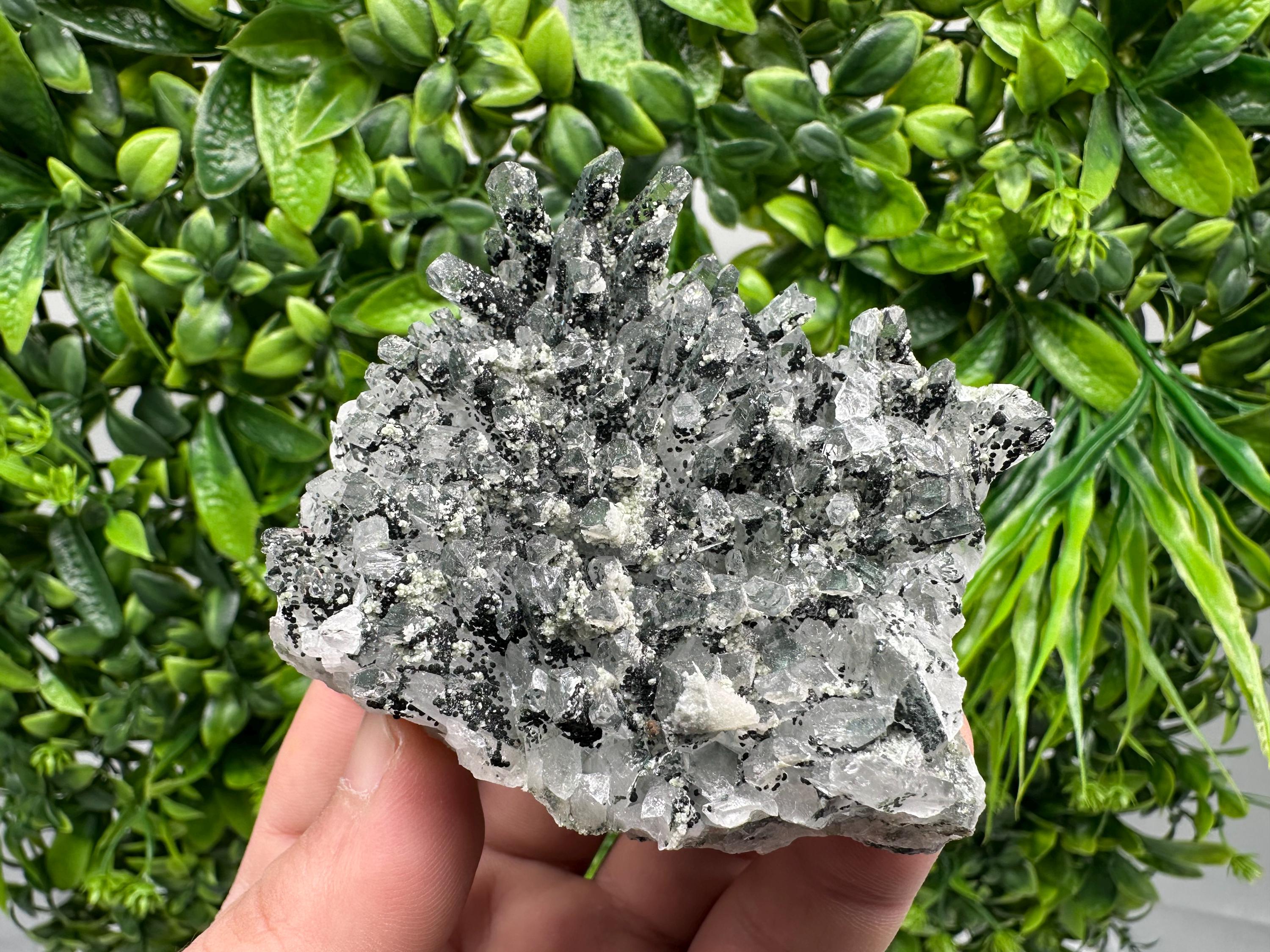 Chlorite Quartz Mineral Specimen, Borieva Mine, Bulgaria