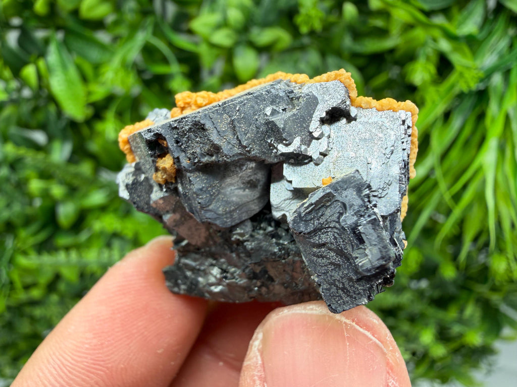 Skeletal Galena with Dolomite: Krushev Dol Mine, Bulgaria
