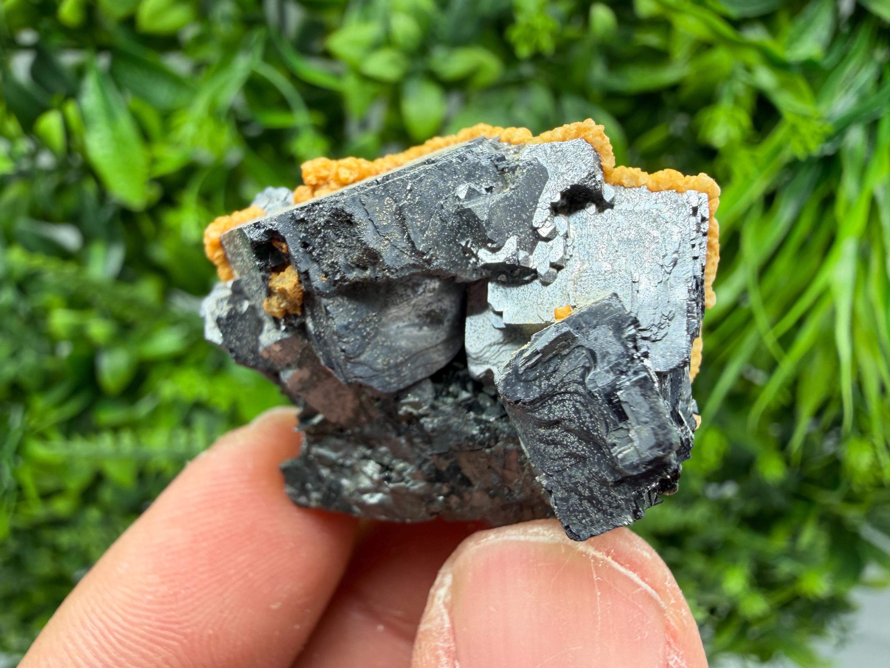 Skeletal Galena with Dolomite: Krushev Dol Mine, Bulgaria