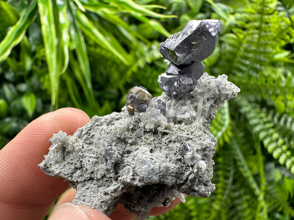 Spinel Law Galena on Quartz with Chalcopyrite: Borieva Mine Minerals