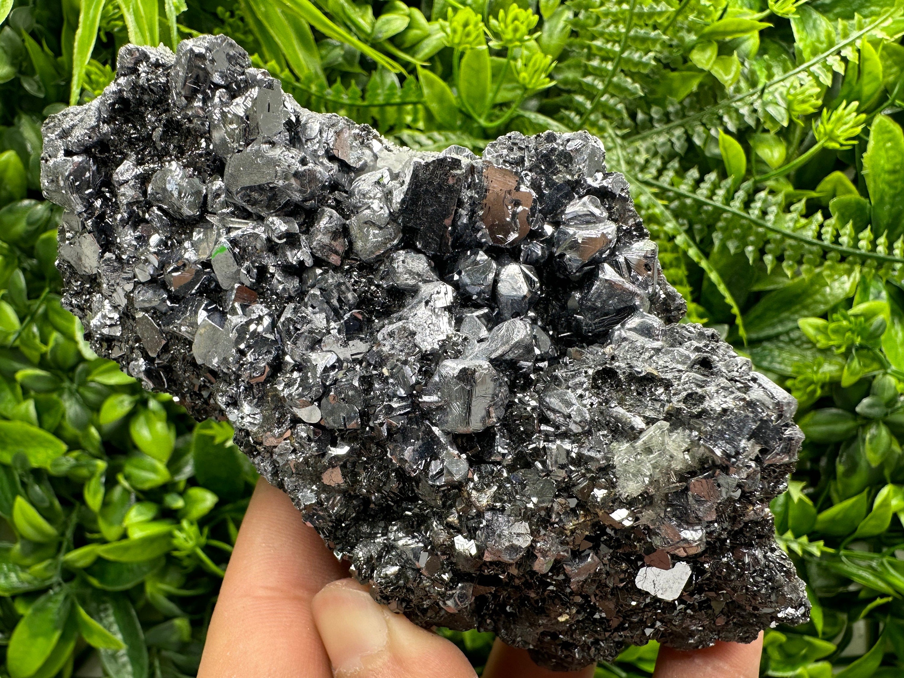 Mirror Galena on Sphalerite, Borieva Mine Mineral Specimen
