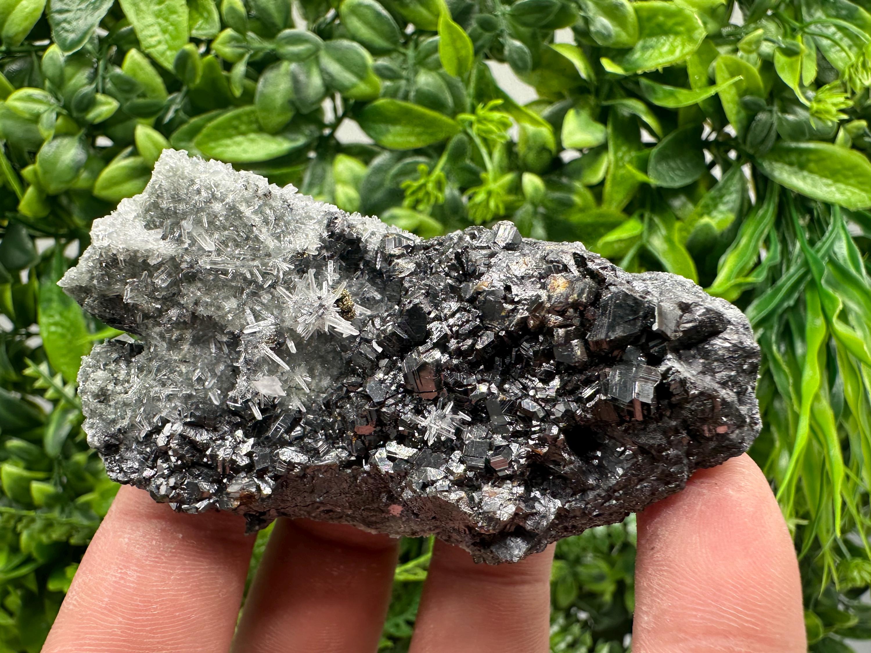 Sphalerite on Green Quartz, Madan Bulgaria Mineral Specimen