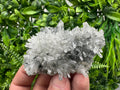 Transparent Quartz on Chlorite Matrix, Bulgaria Mineral Specimen