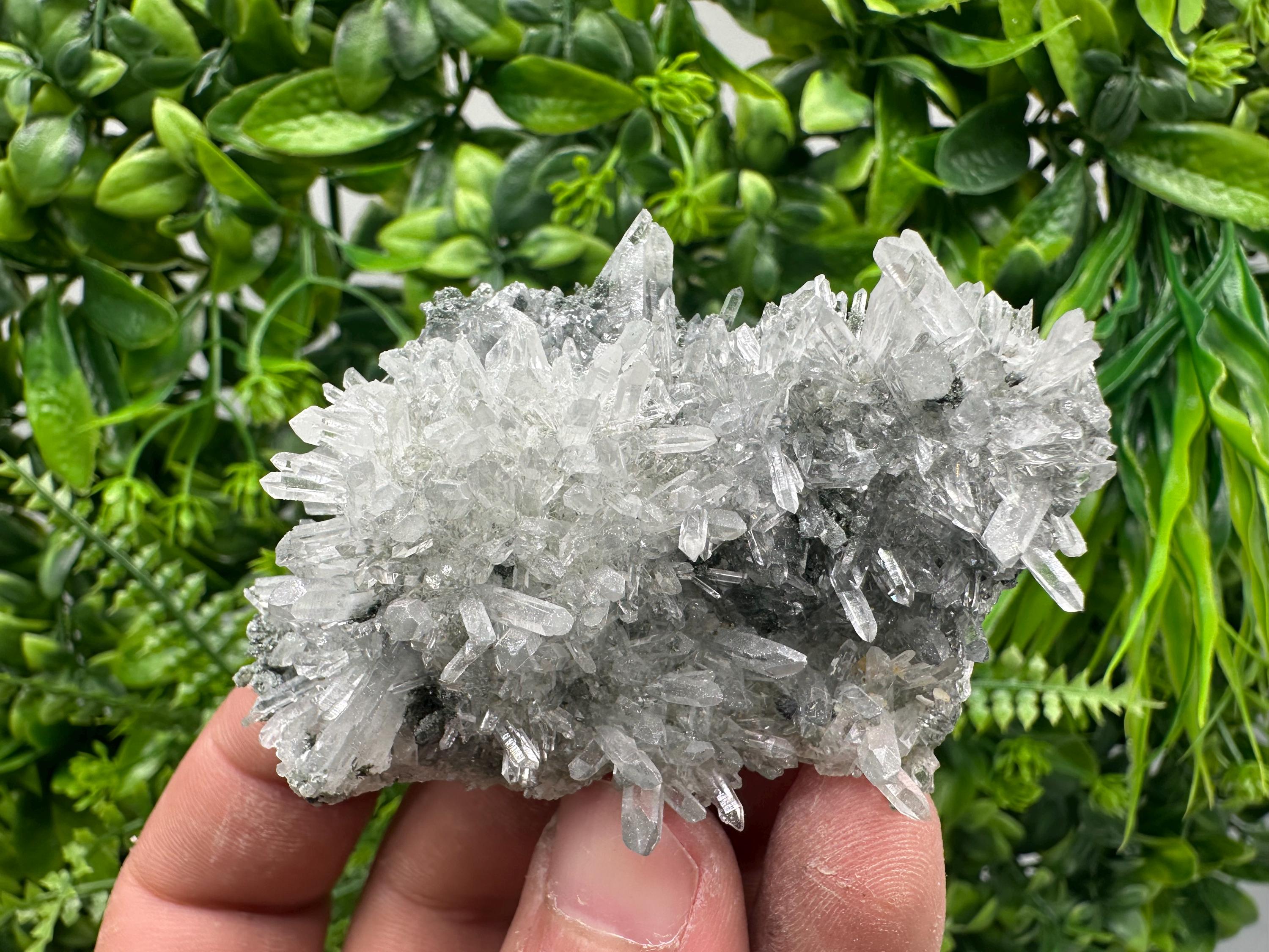 Transparent Quartz on Chlorite Matrix, Bulgaria Mineral Specimen