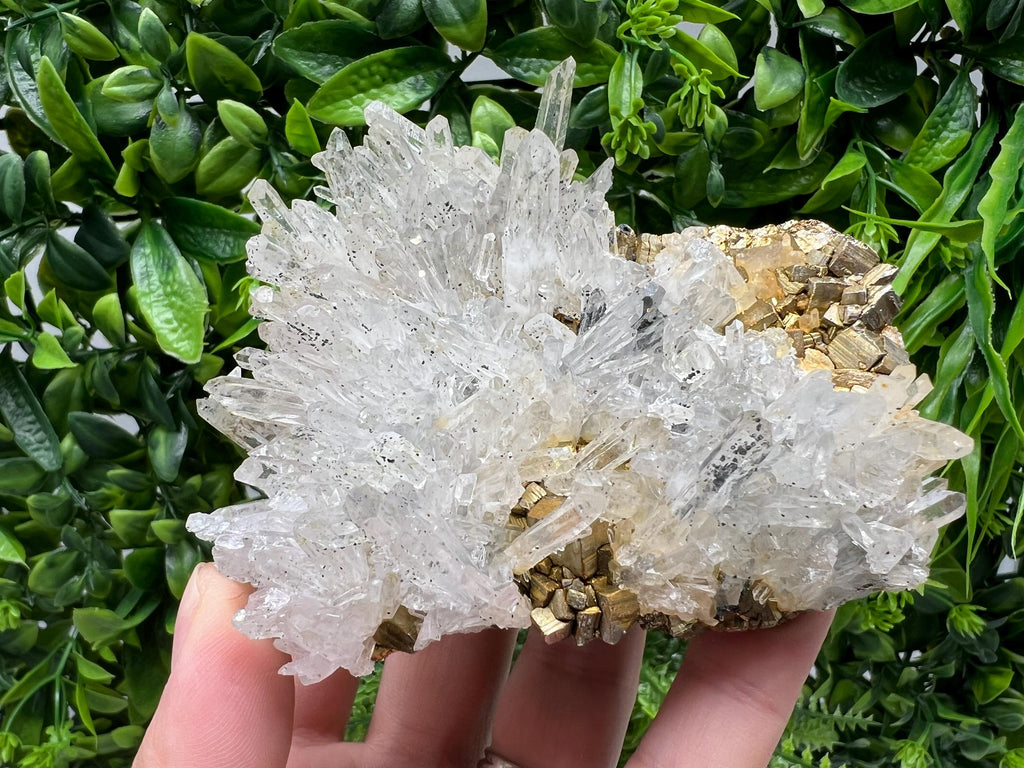 Stunning Transparent Quartz,from Borieva mine,natural collection mineral specimen rare crystal,home decor crystal,quartz cluster,Quartz,gift
