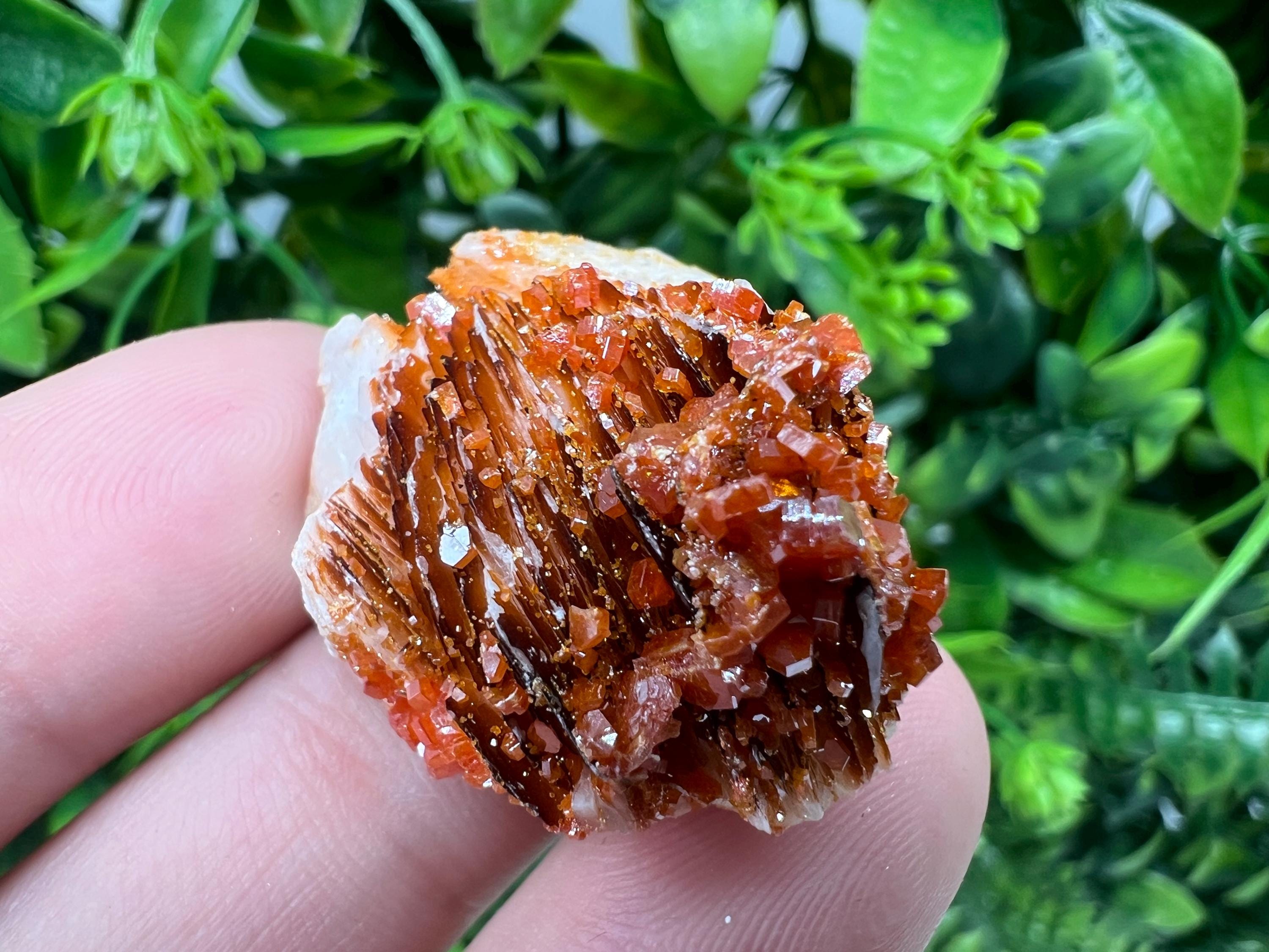 Red Vanadinite on Barite from Marocco,crystal minerals Speciment cluster Vanadinite crystal Vanadinite Geology Vanadinite cluster minerals
