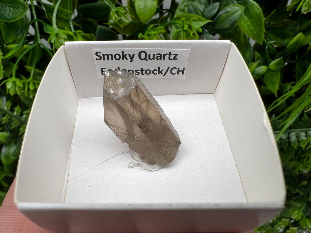 Rare Fedenstock Smoky Quartz Point, Switzerland Mineral Specimen (25MM)