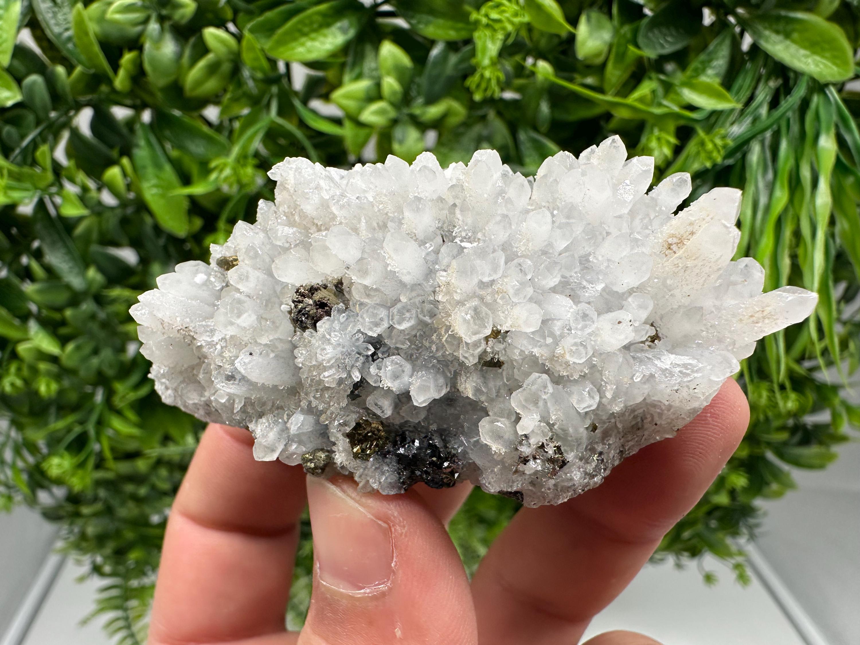 Chalcopyrite on Quartz Crystal: Borieva Mine, Bulgaria