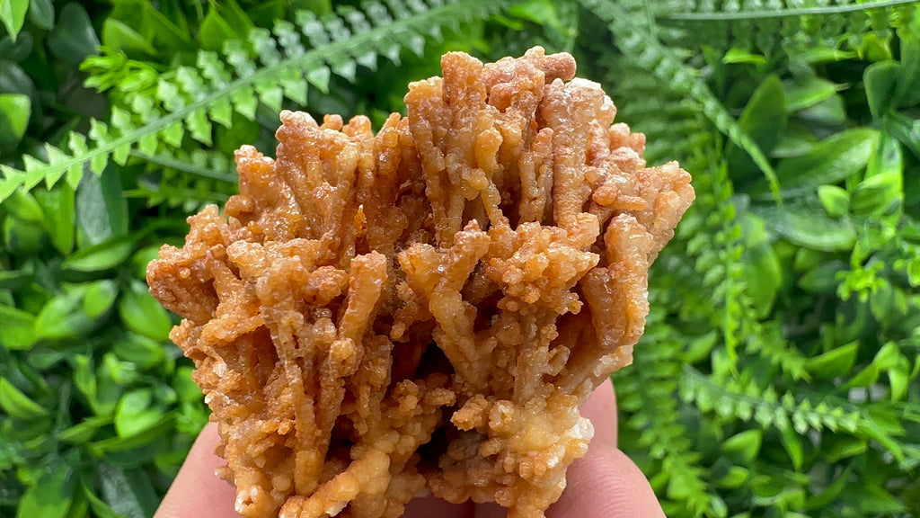 Dimitrovgrad Aragonite Cluster, Bulgaria Mineral Specimen