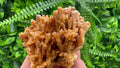 Dimitrovgrad Aragonite Cluster, Bulgaria Mineral Specimen