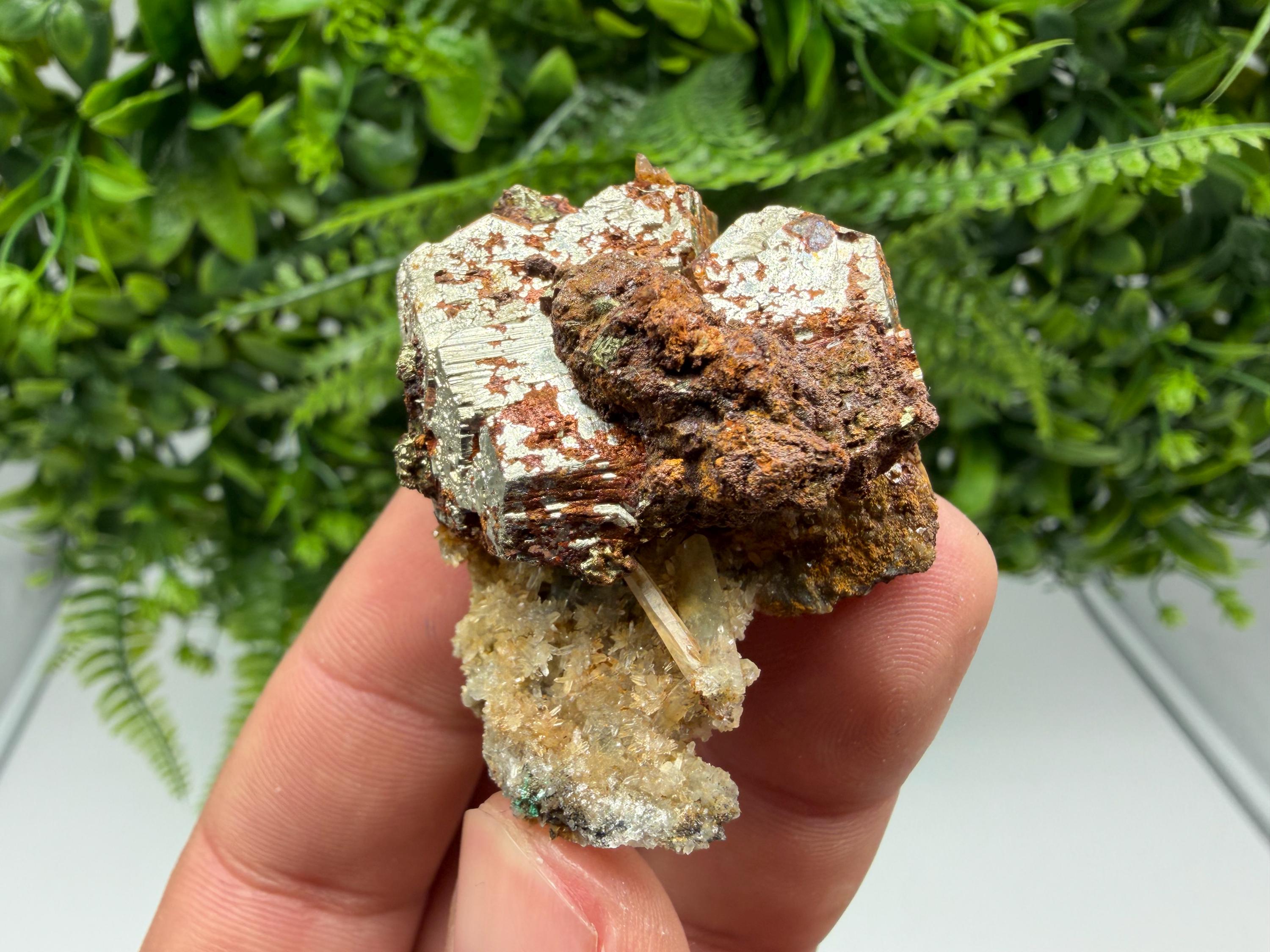 Rainbow Pyrite with Quartz, Borieva Bulgaria Mineral Specimen