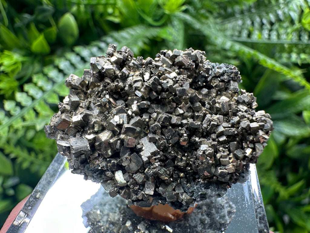 Rare Golden Pyrite Cluster: Borieva Mine, Bulgaria