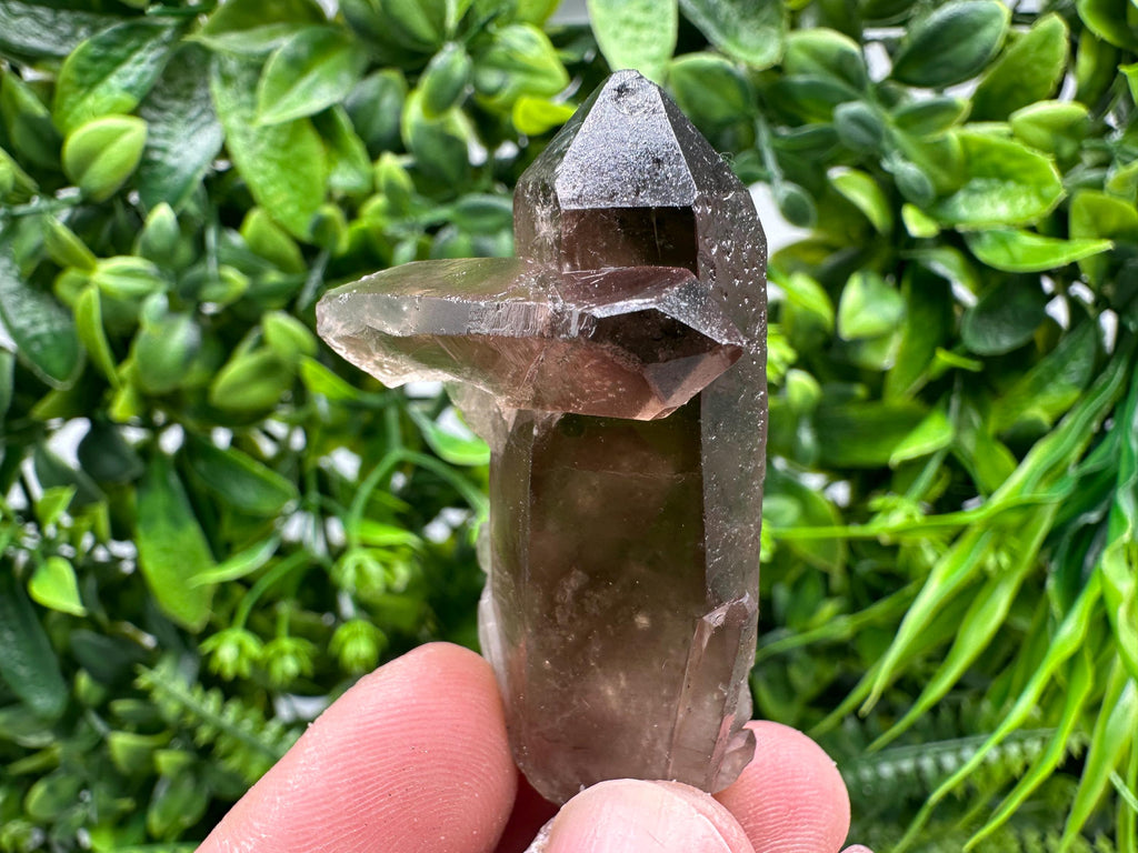 Rare Smoky Quartz Crystal Specimen, Brazil
