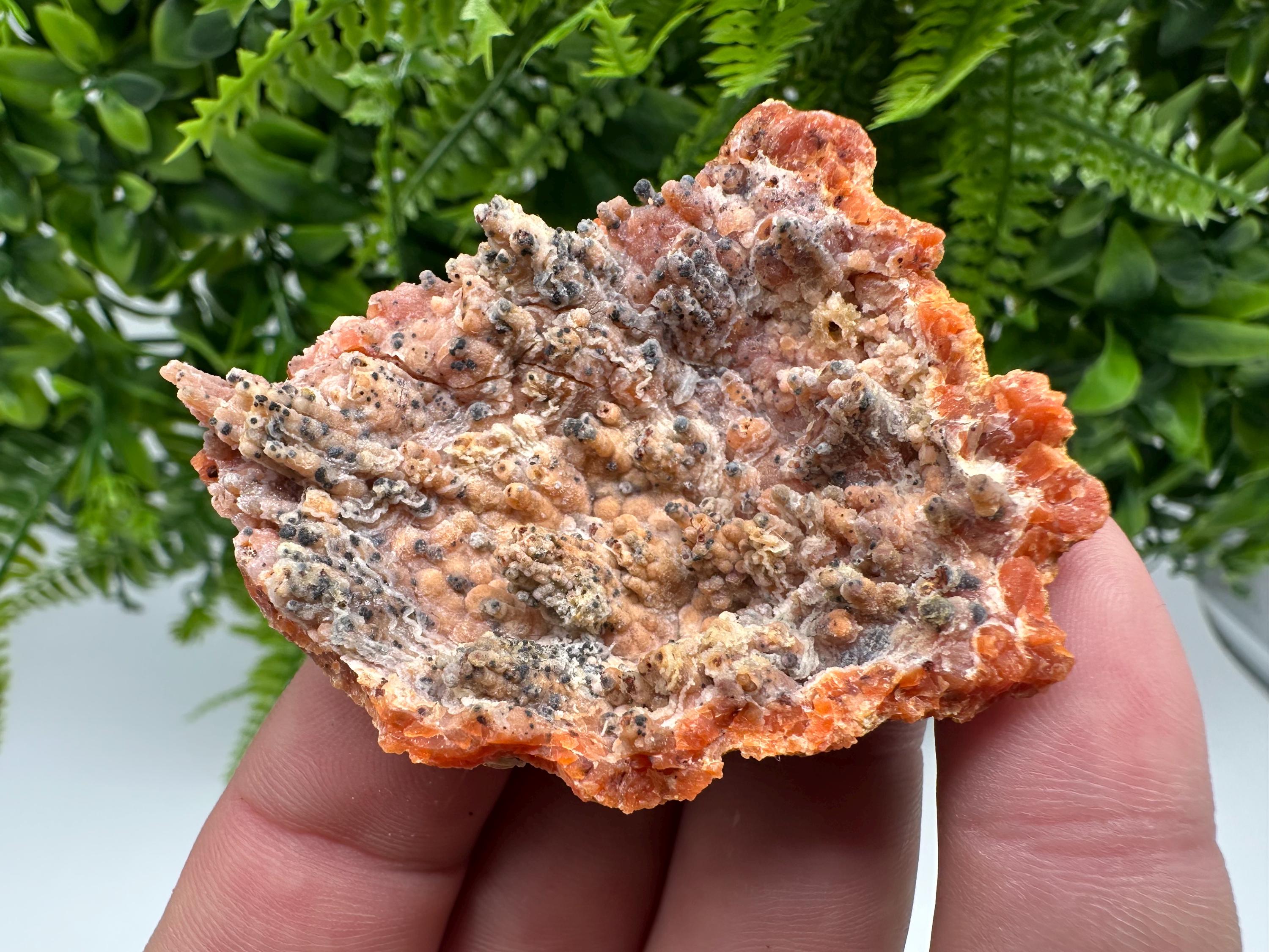 Moroccan Red Chalcedony Crystal Specimen: Rare Mineral Gift
