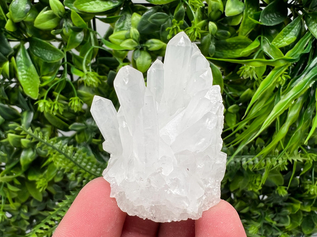 Transparent Quartz Cluster, Djurcovo Mine, Bulgaria, Mineral Specimen