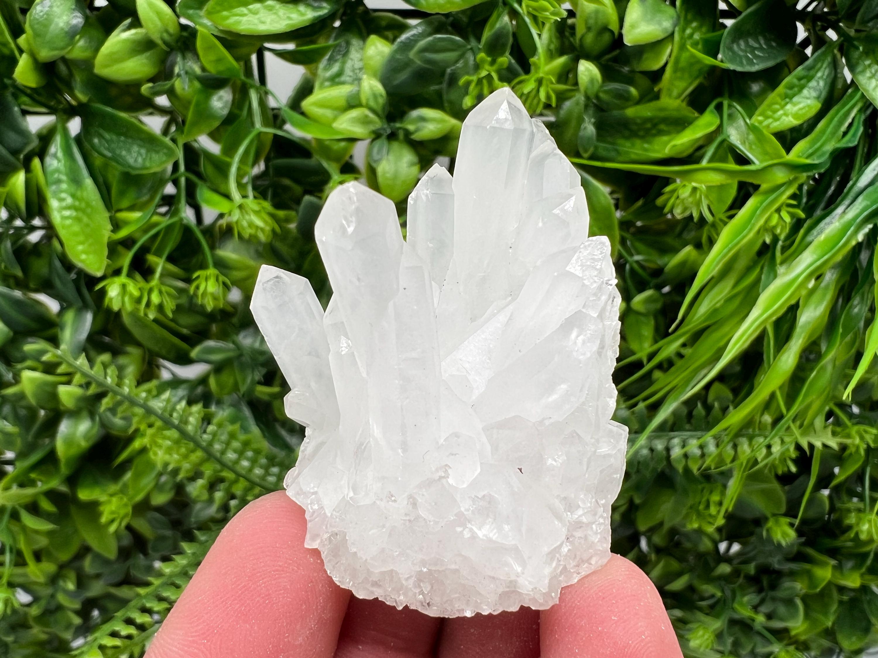 Transparent Quartz Cluster, Djurcovo Mine, Bulgaria, Mineral Specimen