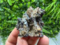Stunning Galena,Sphalerite on Quartz whit Siderite from 9 th September mine,Madan,Bulgaria,Natural,collectible mineral specimen,home decor