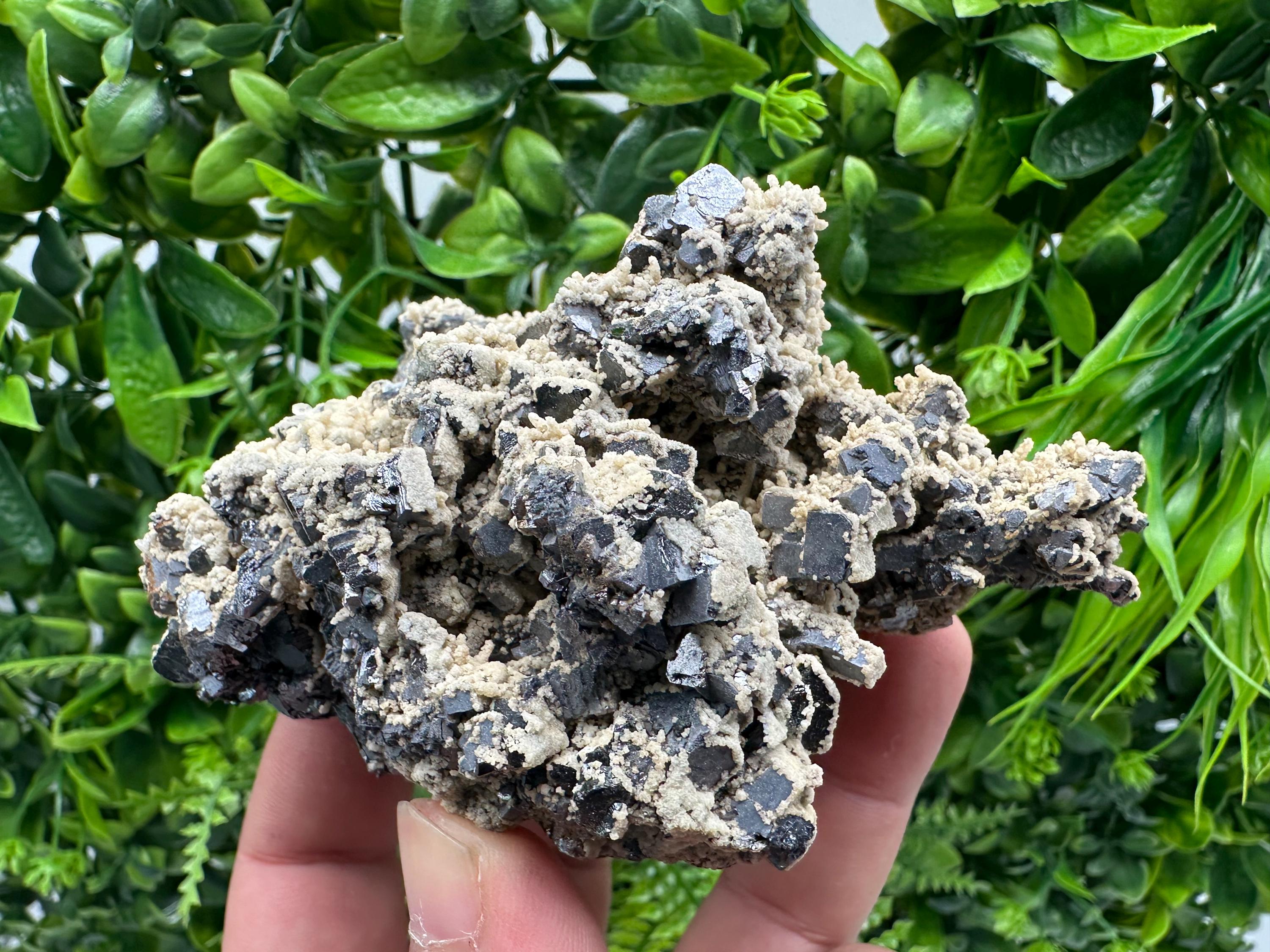 Galena Dolomite Cluster, Krushev dol Bulgaria Mineral Specimen