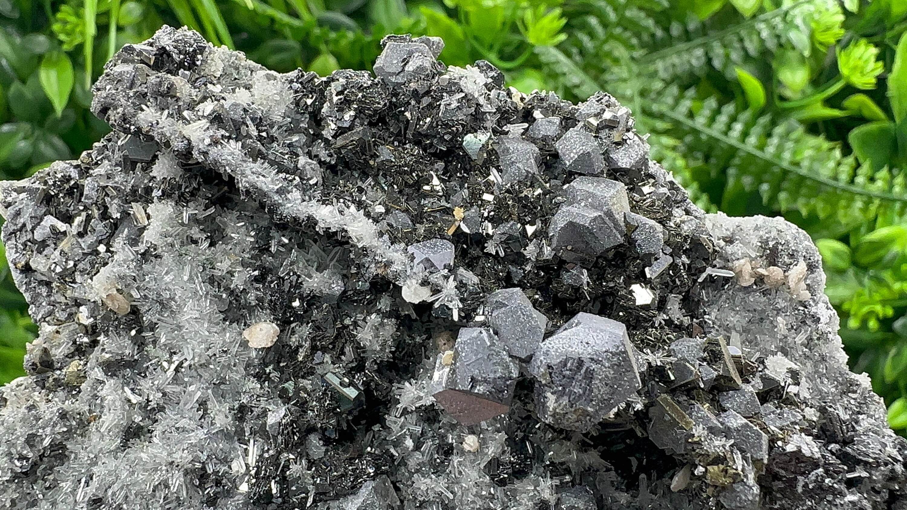 Galena with Sphalerite on Quartz, Borieva Mine, Bulgaria