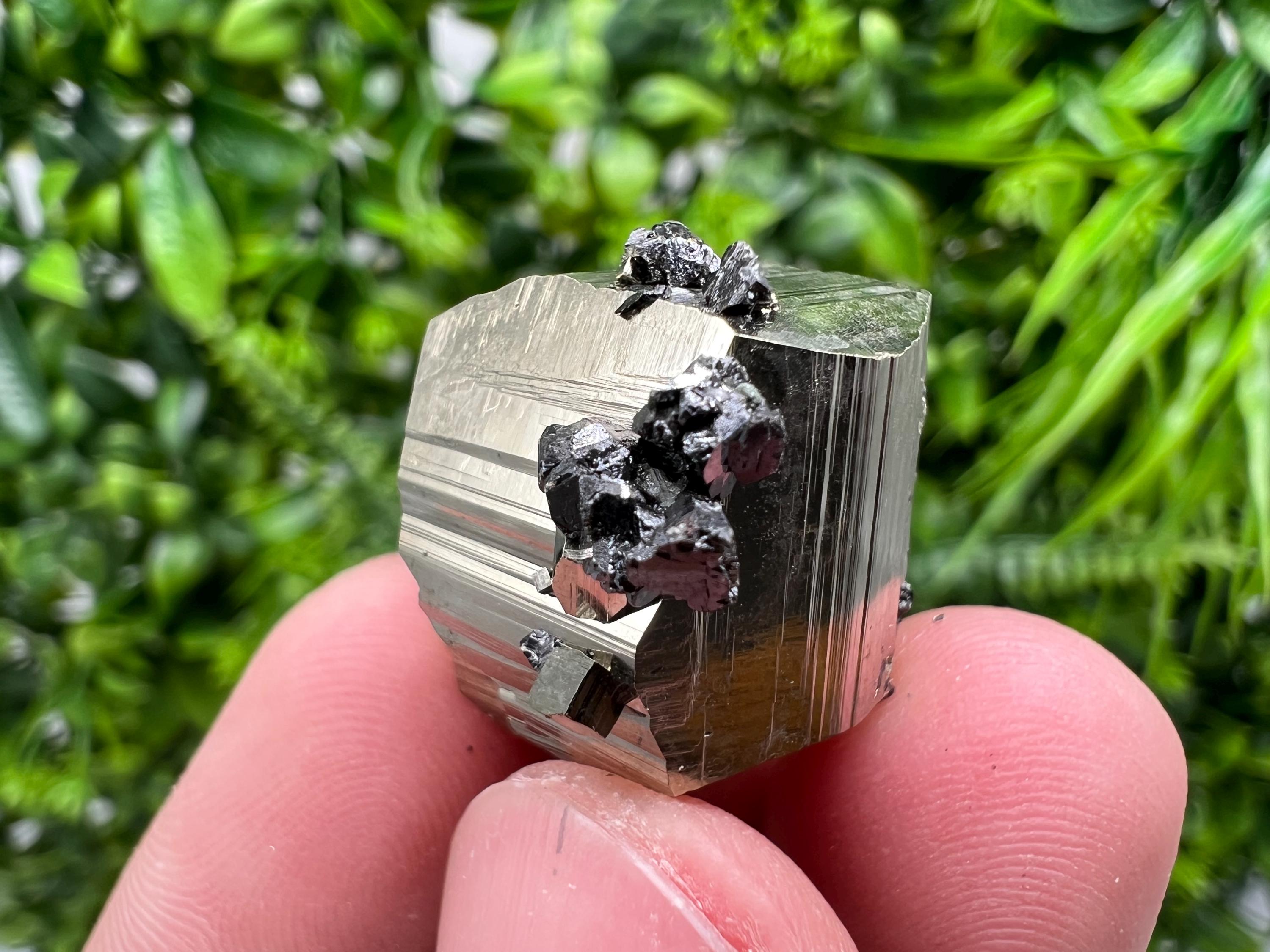 Rare Borieva Mine Pyrite Cluster, Rainbow Crystallization Specimen