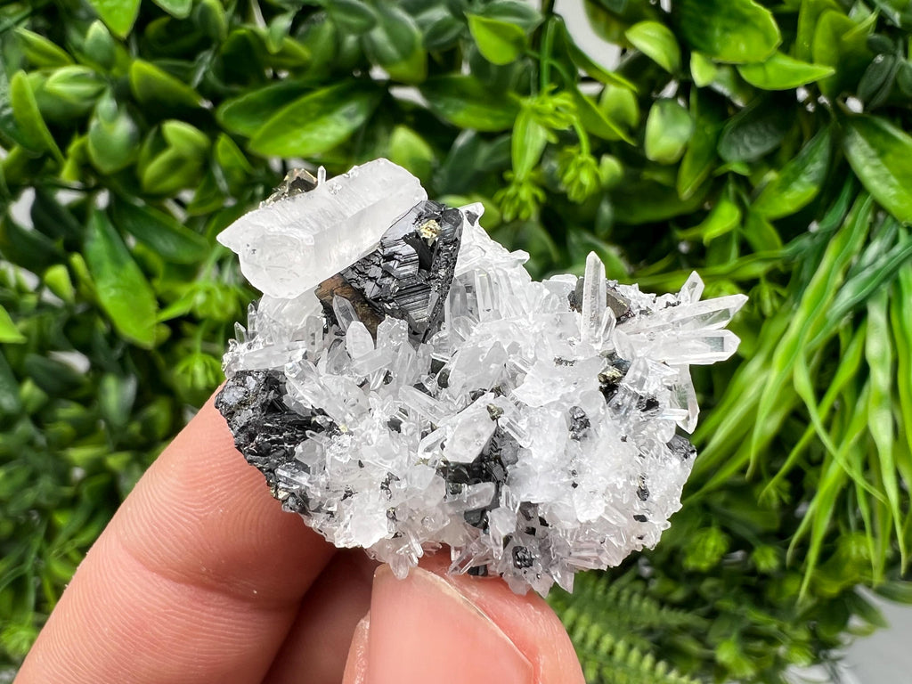 Wonderful Sphalerite Chalcopyrite on Green Quartz whit Hematite feom 9 th September mine,Bulgaria,natural,collection mineral specimen,gift