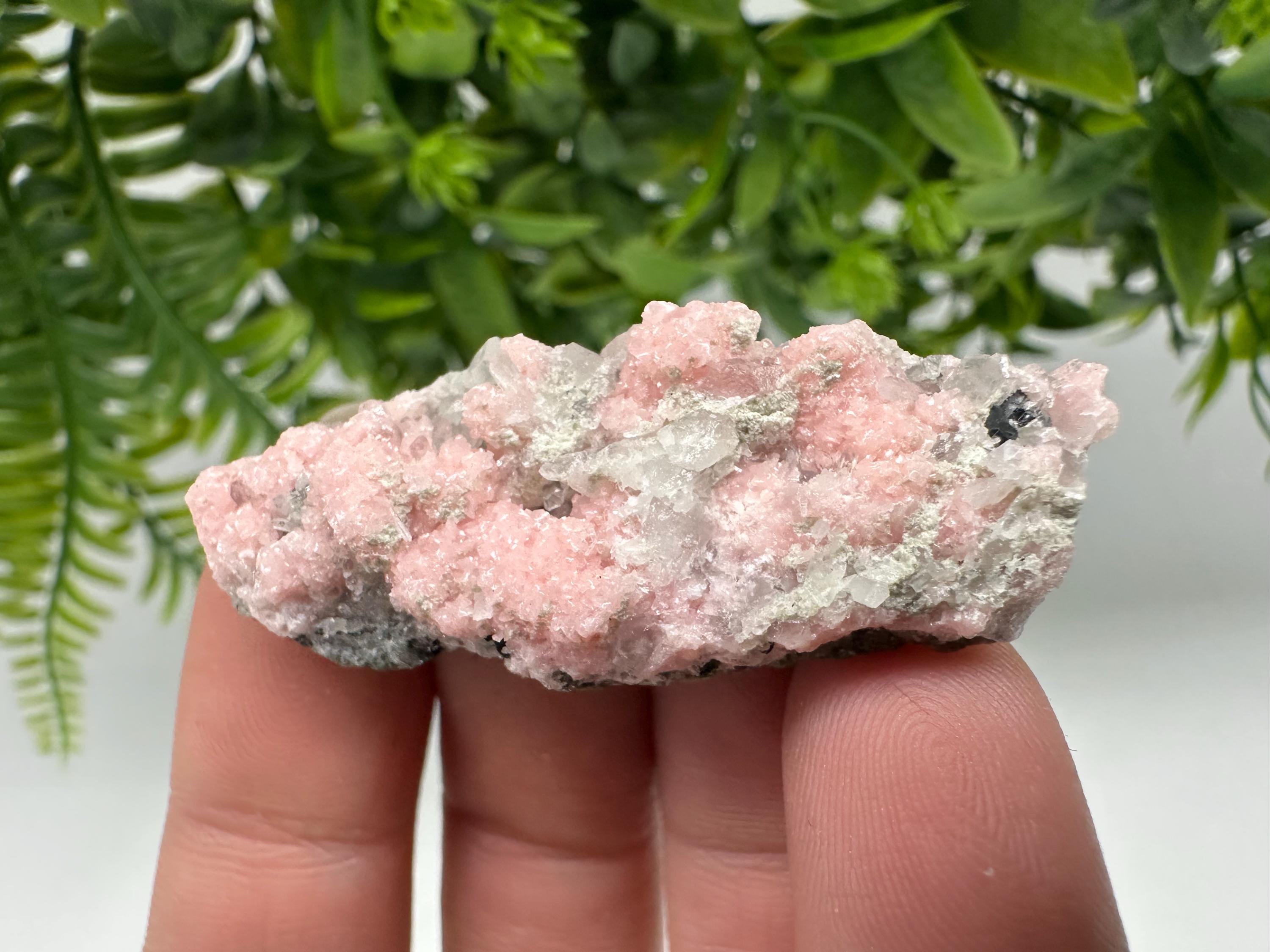 Pink Rhodochrosite Crystal: Starnica Mine, Bulgaria, Home Decor