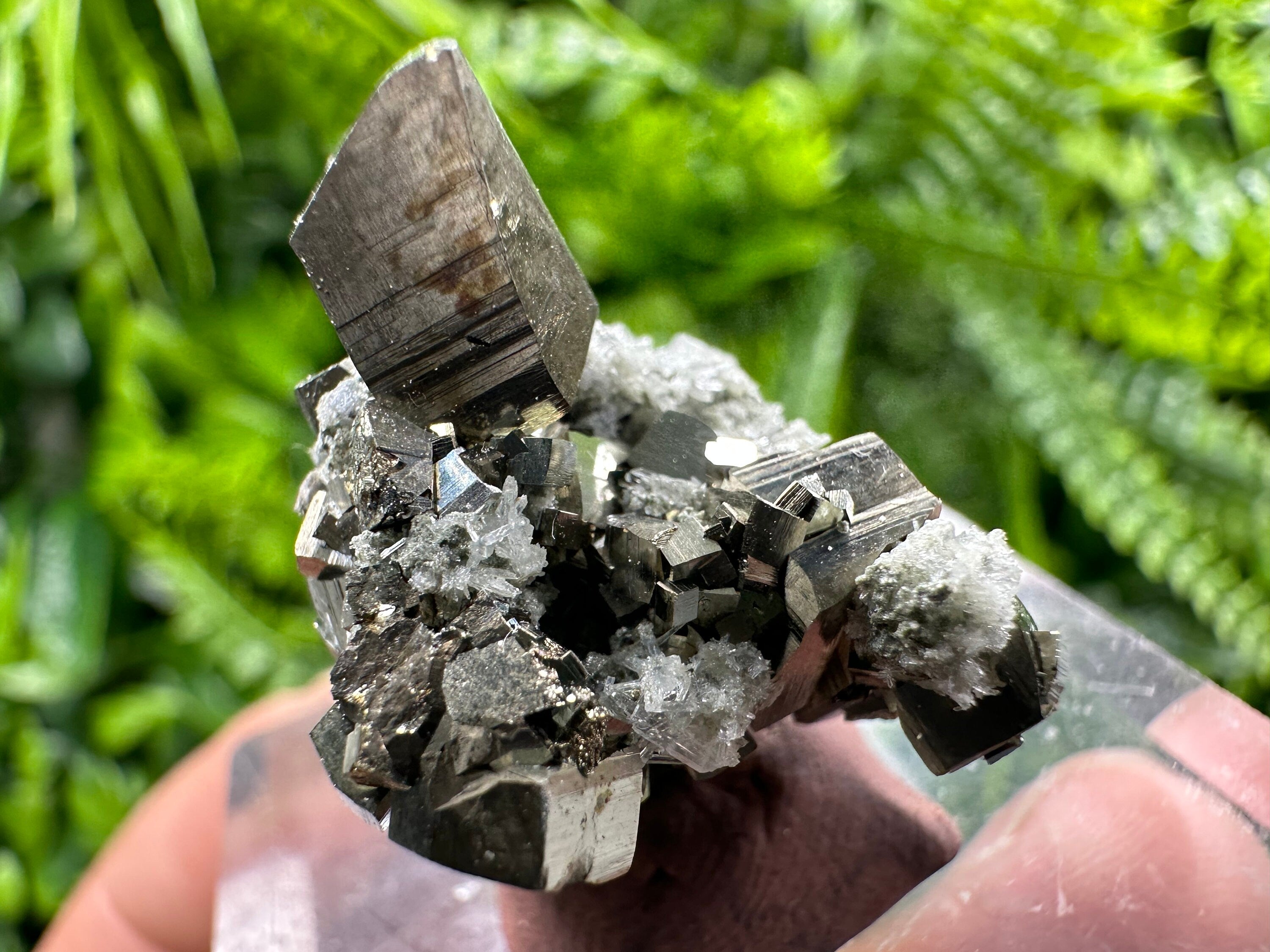Golden Pyrite Cluster, Natural Crystal Mineral Souvenir