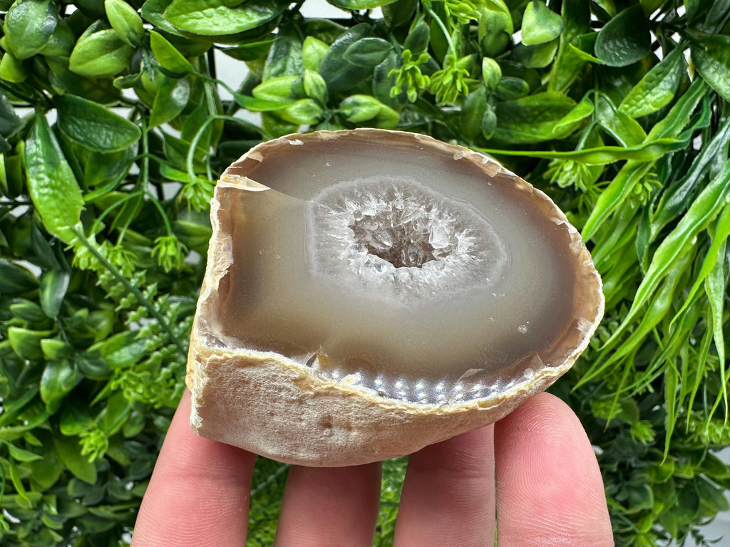 Natural Agate Druzy Geode: Quartz Crystal, 264 grams