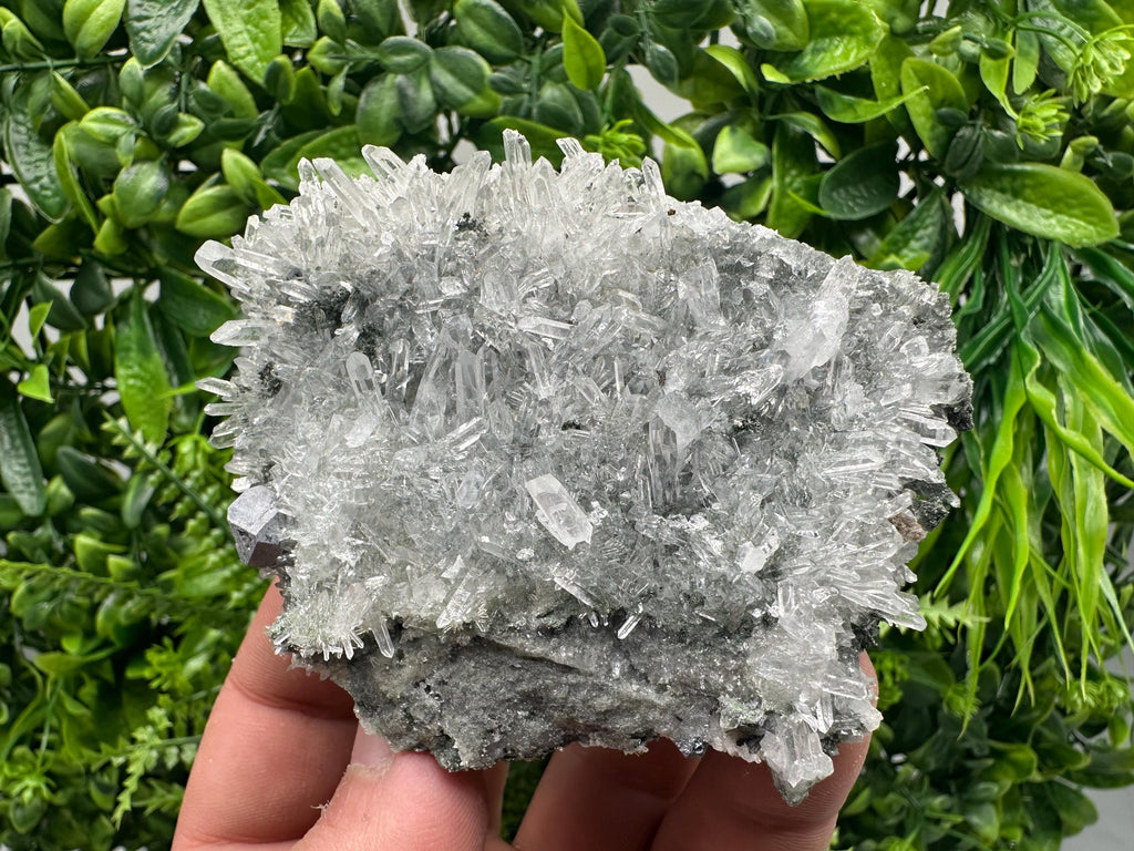 Quartz Crystal with Galena, Chlorite Matrix Mineral Specimen