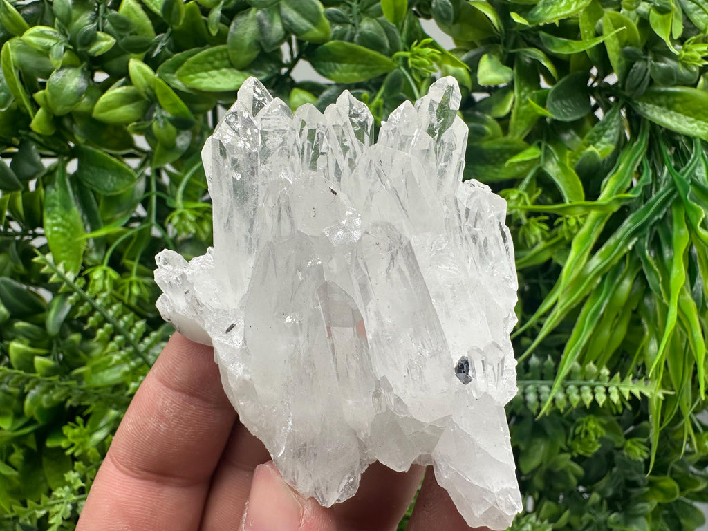 Transparent Quartz Cluster, Djurcovo Mine Bulgaria, Rare Crystal Specimen