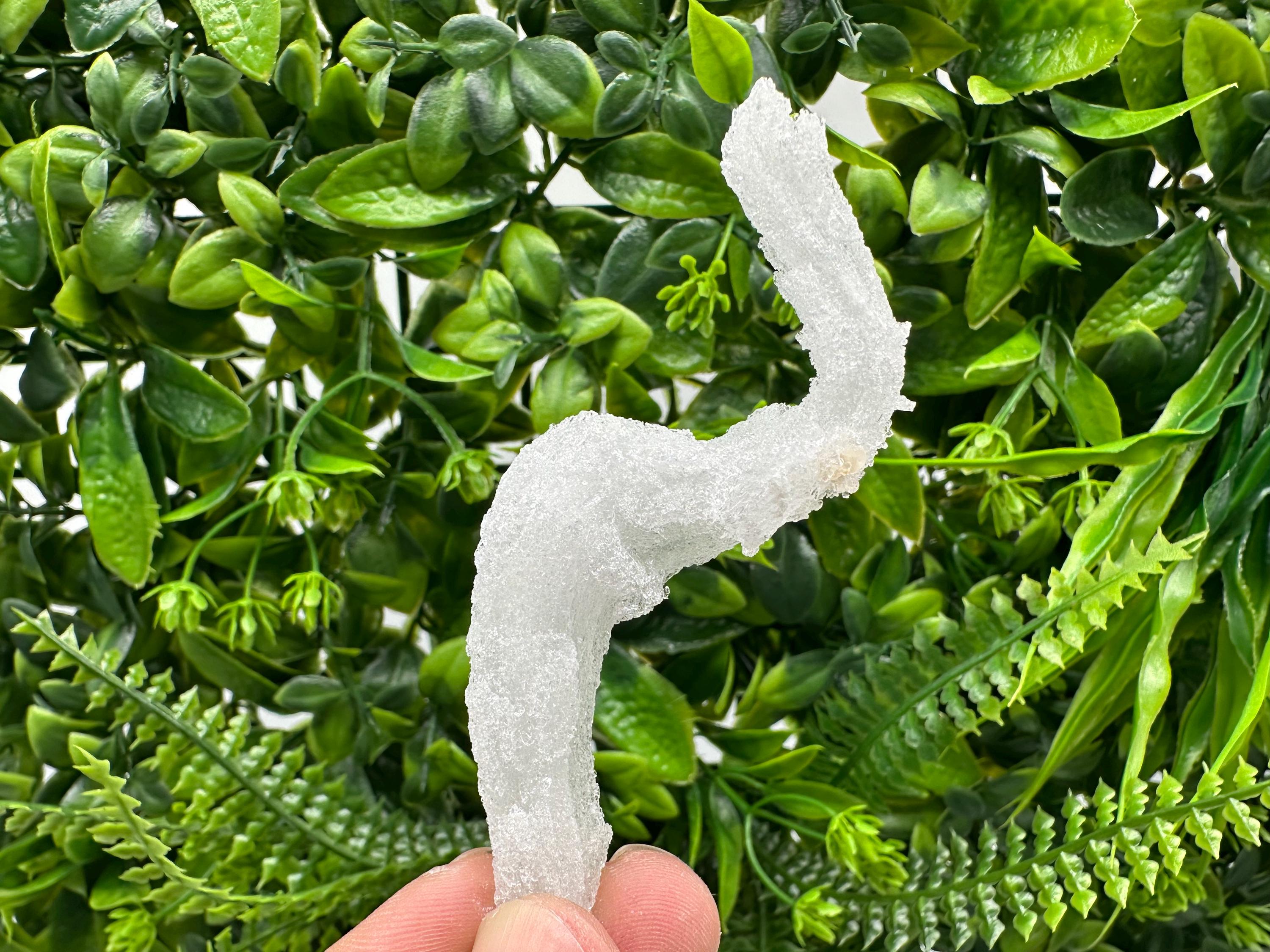 Ram's Horn Selenite Gypsum, Guizhou China, Fluorescent Mineral Specimen
