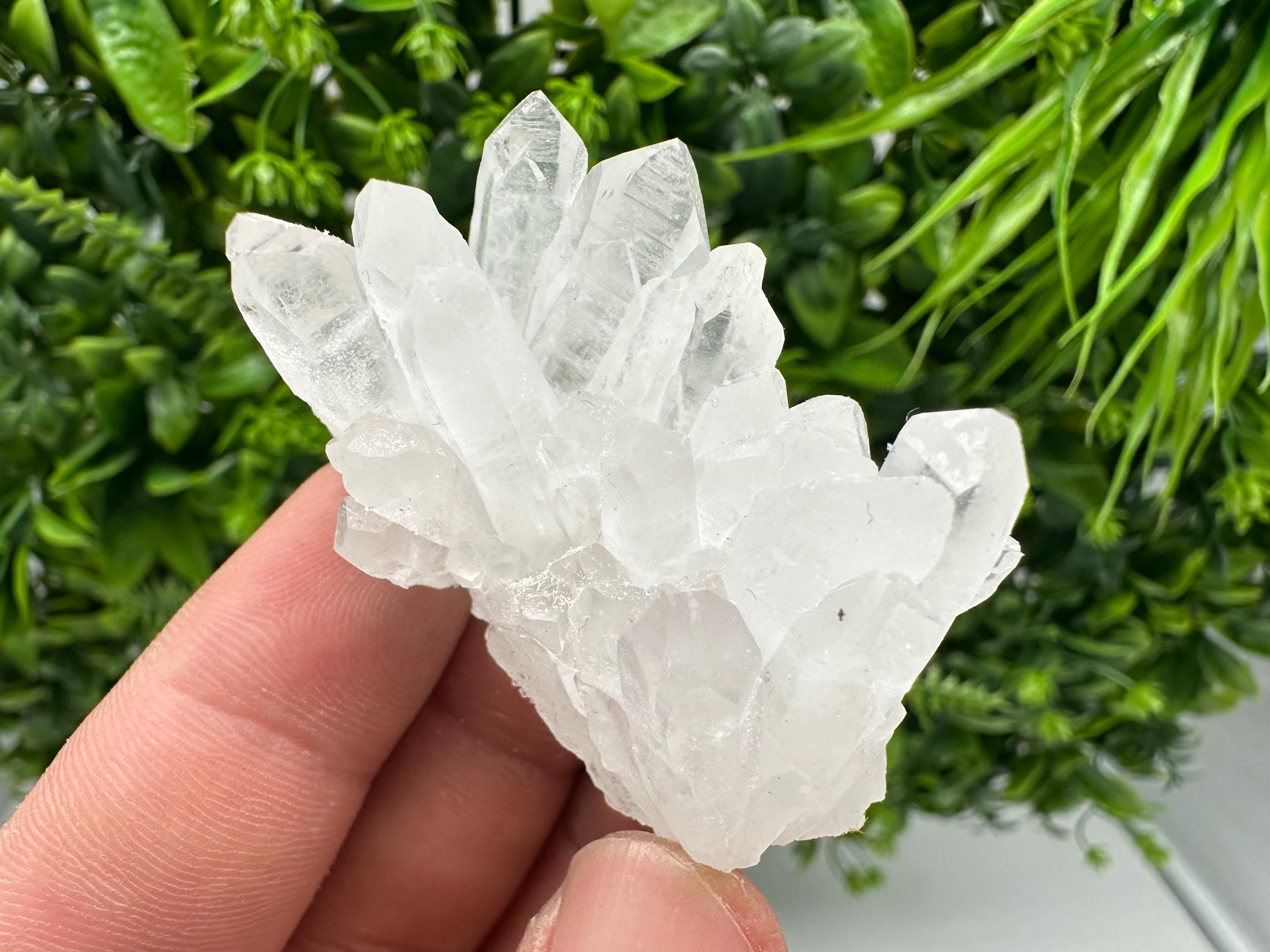 Transparent Quartz on Chlorite Matrix, Borieva Mine, Bulgaria