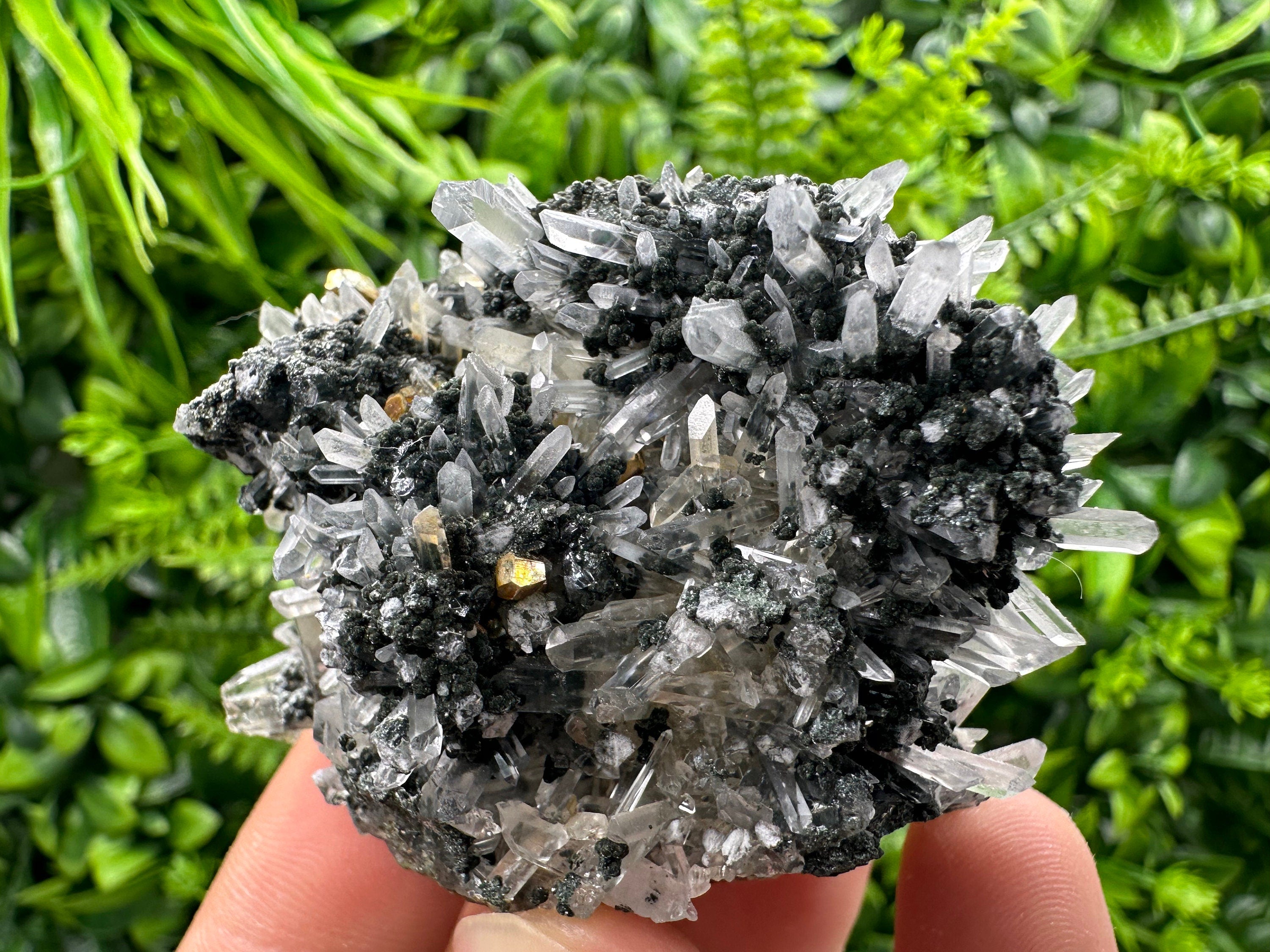 Chlorite Quartz Crystal: Iron Oxide Mineral Specimen, Borieva Bulgaria