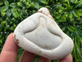Menalite Crystal: White Fairy Stone, Moroccan A+ Grade