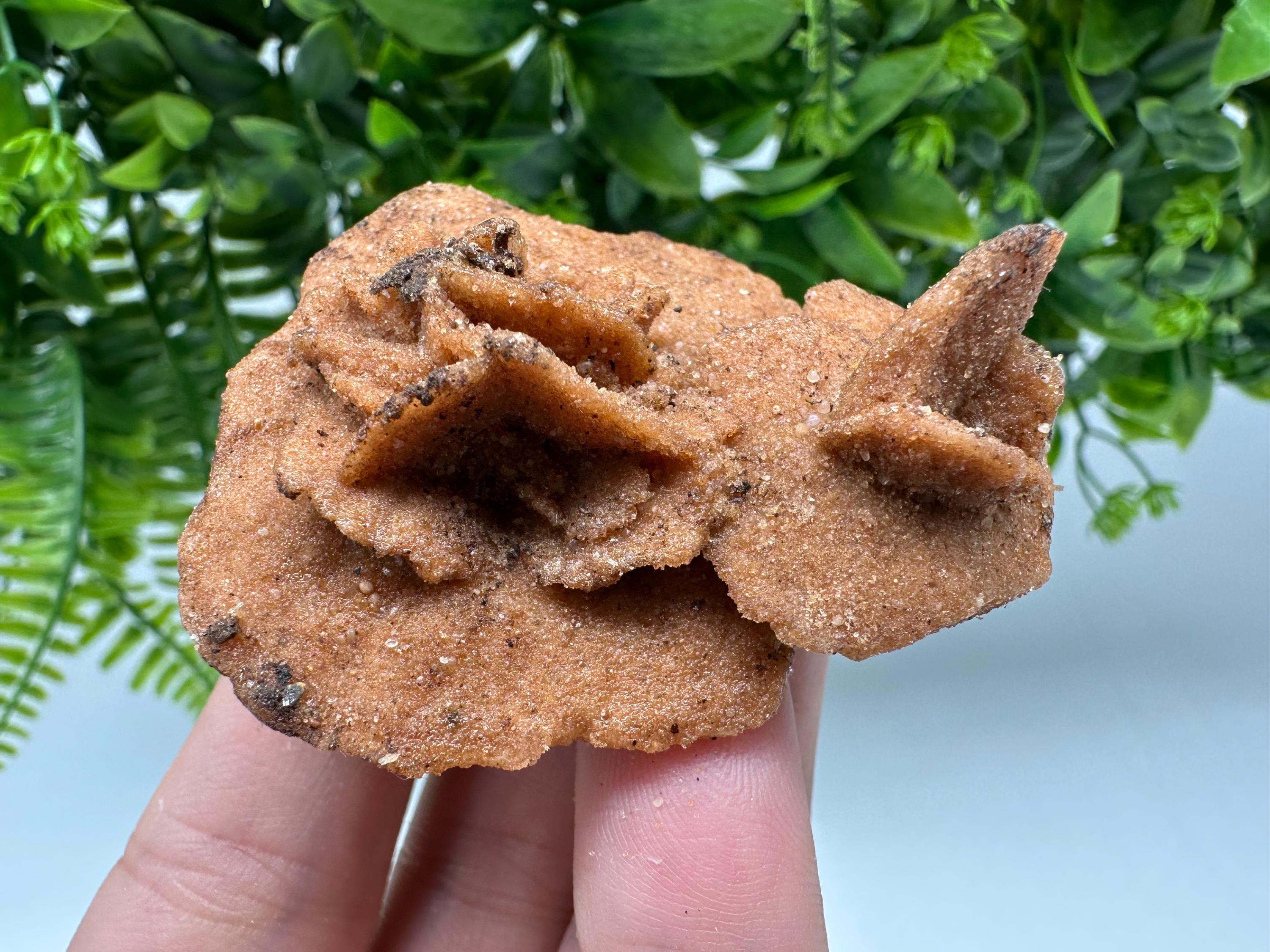 Desert Rose Crystal: Root Chakra Healing Selenite Stone