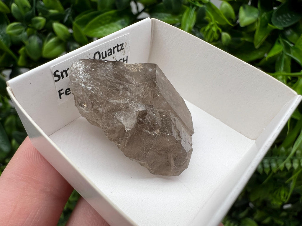 Rare Smoky Quartz from Fedenstock (mountain) Switzerland,Mineral,Specimen,Collection,Black Quartz,Mineral,Home,Smoky Quartz,Quartz point