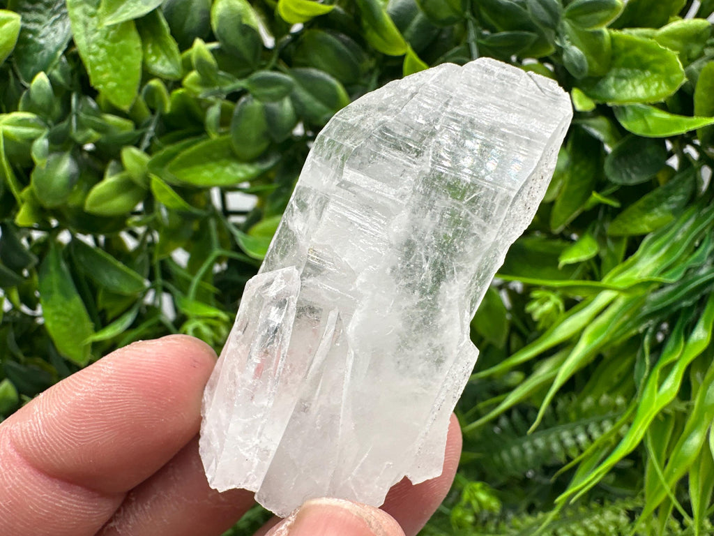 Transparent Quartz Crystal: Djurcovo Mine, Bulgaria